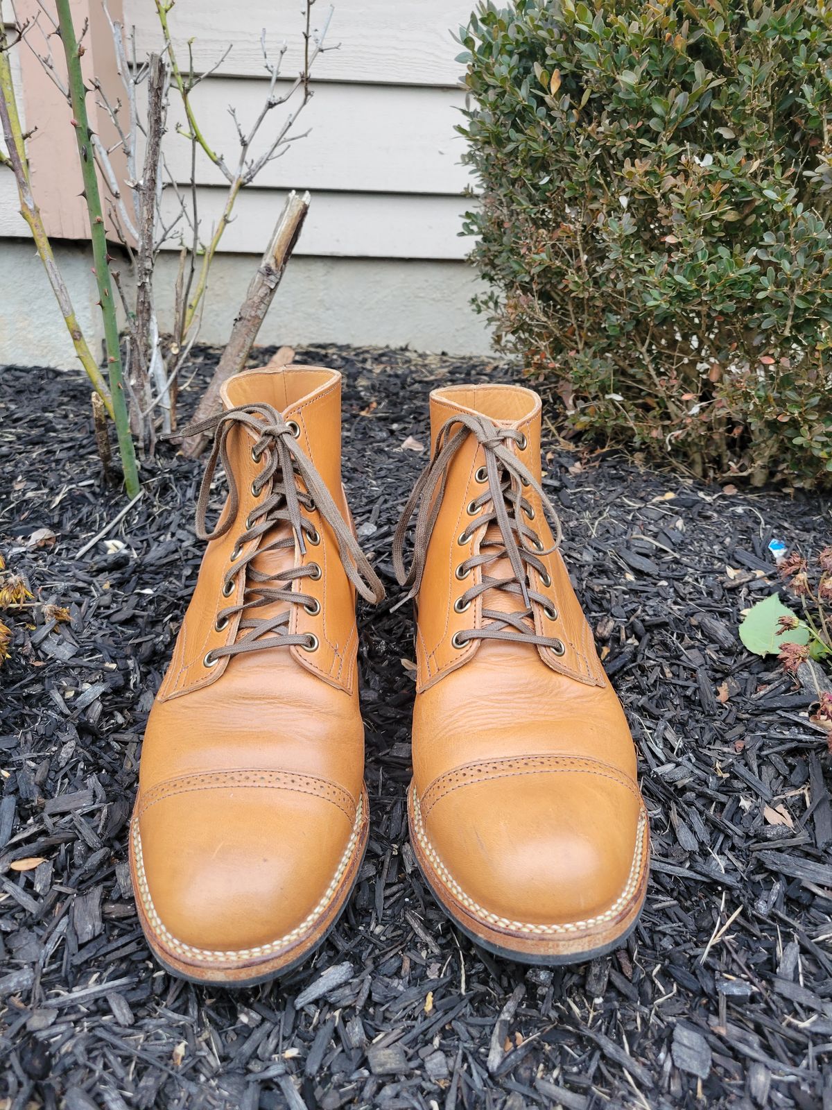 Photo by drdrakeramoray on December 5, 2023 of the Viberg Service Boot BCT in Horween Bourbon Horsebutt.