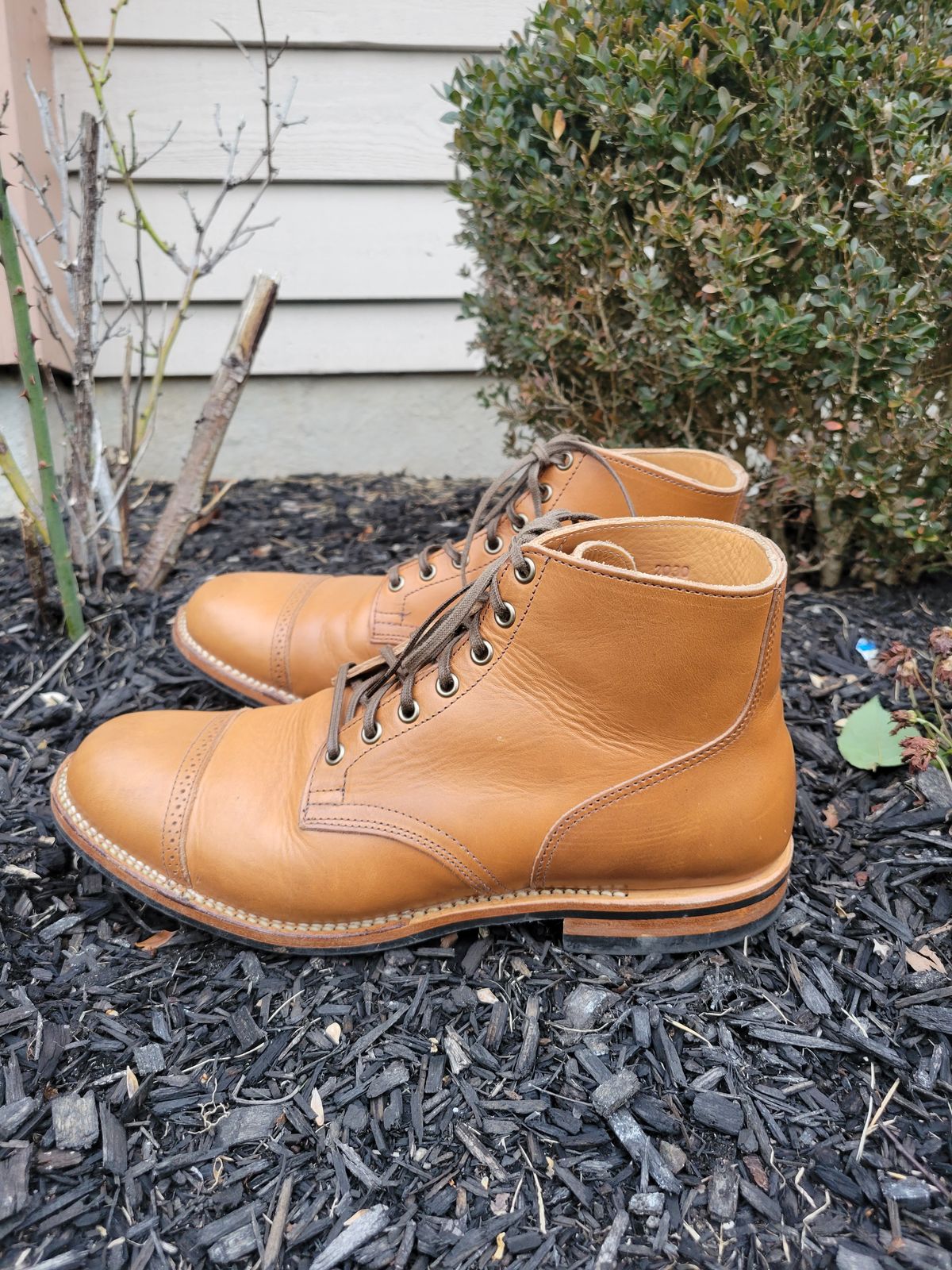Photo by drdrakeramoray on December 5, 2023 of the Viberg Service Boot BCT in Horween Bourbon Horsebutt.