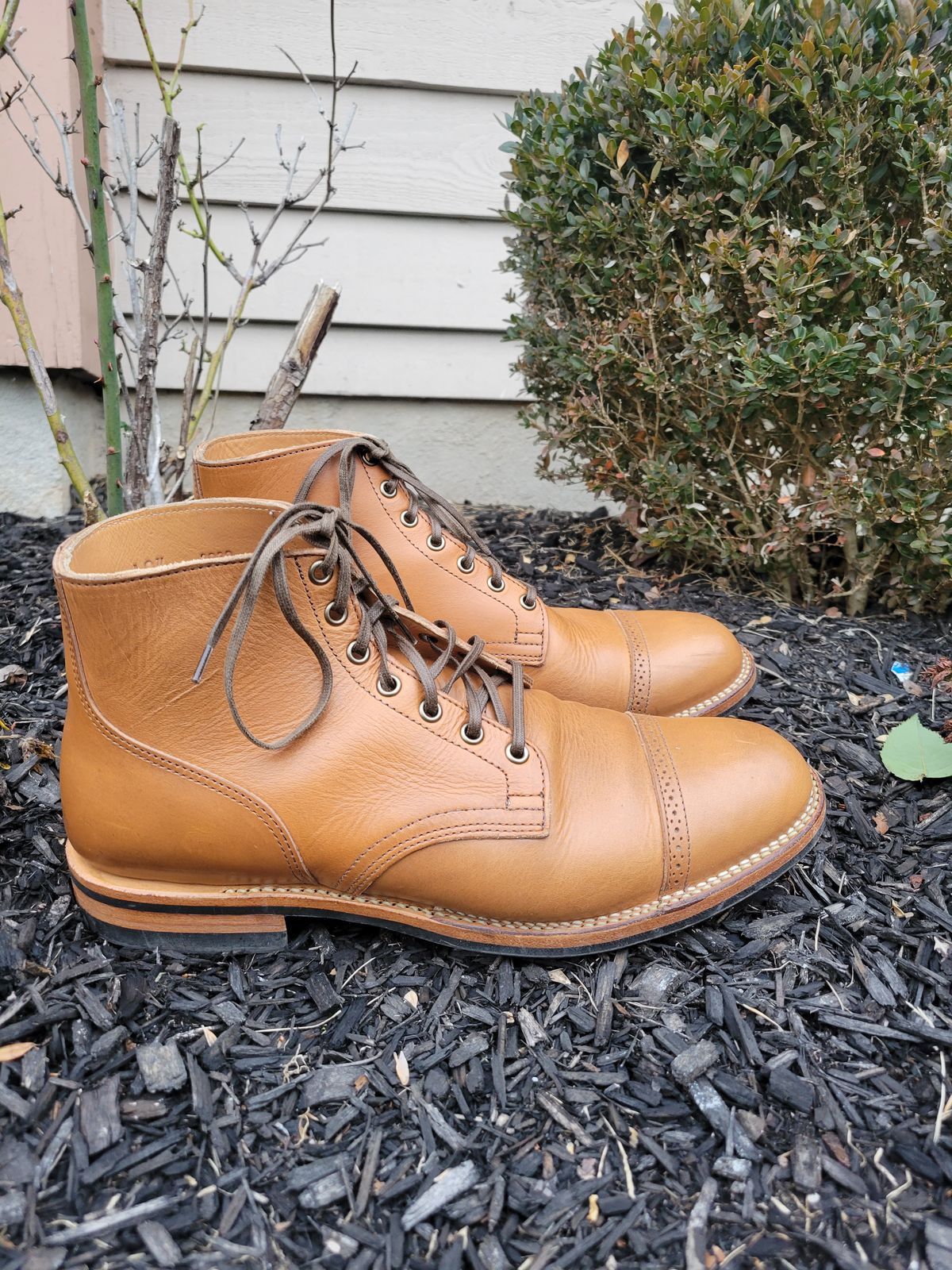 Photo by drdrakeramoray on December 5, 2023 of the Viberg Service Boot BCT in Horween Bourbon Horsebutt.