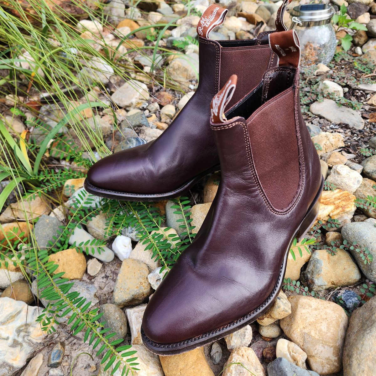 Photo by Littlewood555 on February 5, 2024 of the R.M. Williams Lady Yearling Boot in Chestnut Yearling.