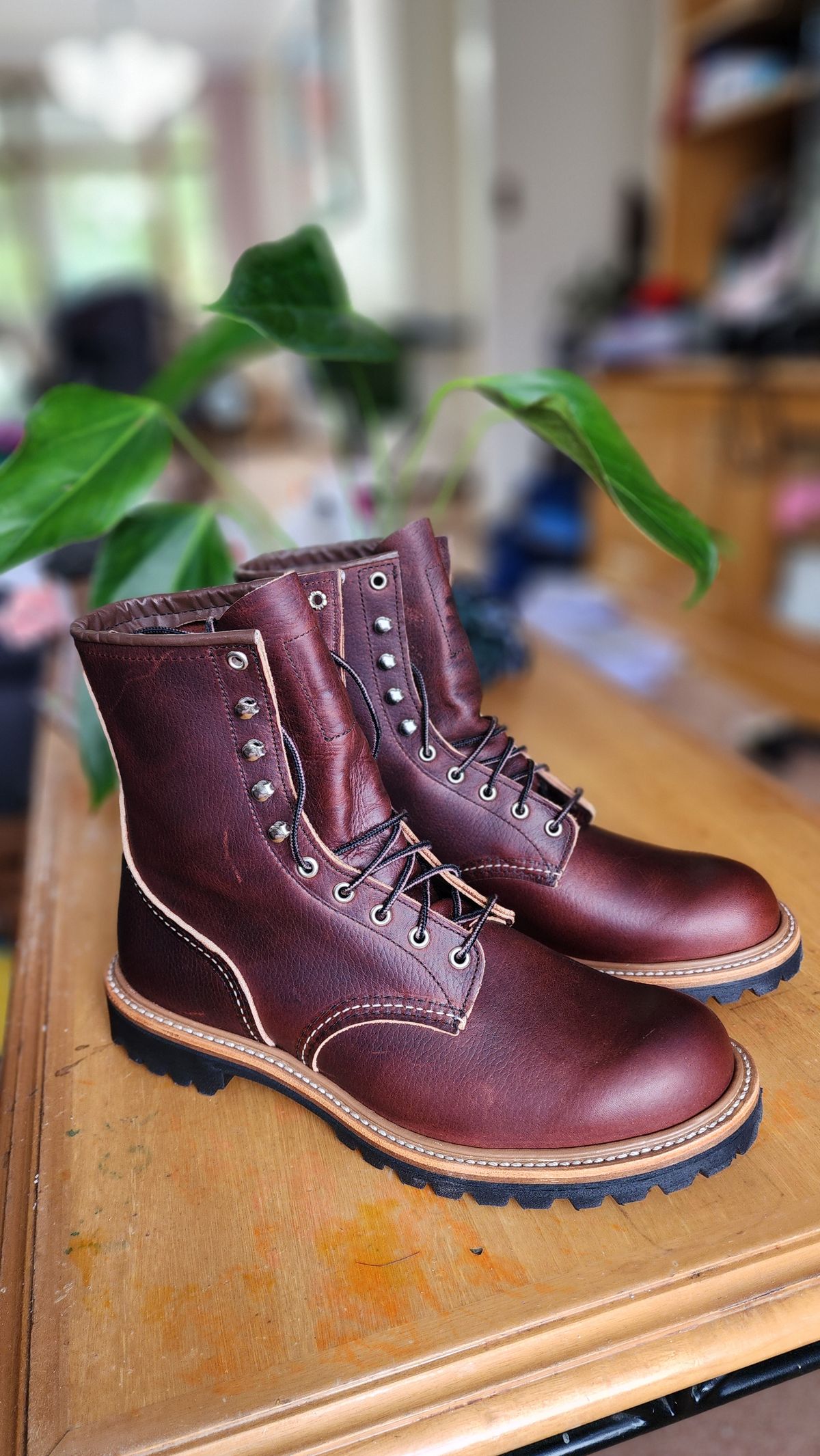 Photo by Littlewood555 on November 2, 2025 of the Red Wing 4585 120th Anniversary Logger Boot Briar Oil Slick in S.B. Foot Briar Oil Slick.