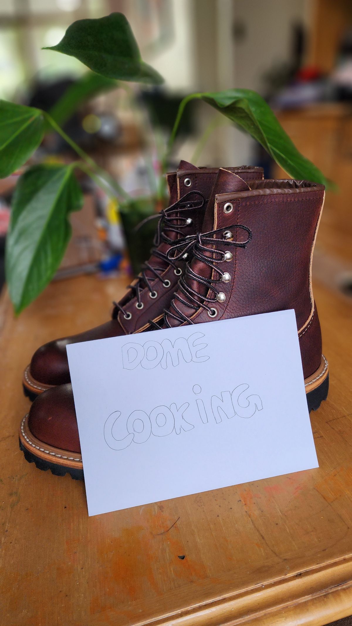 Photo by Littlewood555 on November 2, 2025 of the Red Wing 4585 120th Anniversary Logger Boot Briar Oil Slick in S.B. Foot Briar Oil Slick.