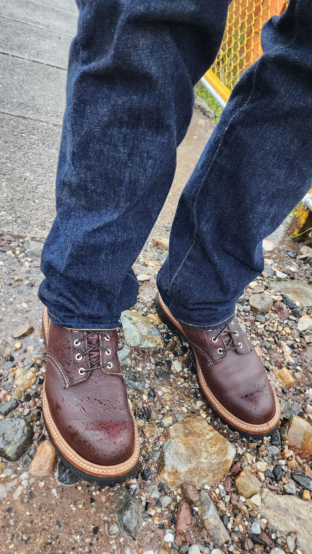 Photo by Littlewood555 on December 4, 2025 of the Red Wing 4585 120th Anniversary Logger Boot Briar Oil Slick in S.B. Foot Briar Oil Slick.