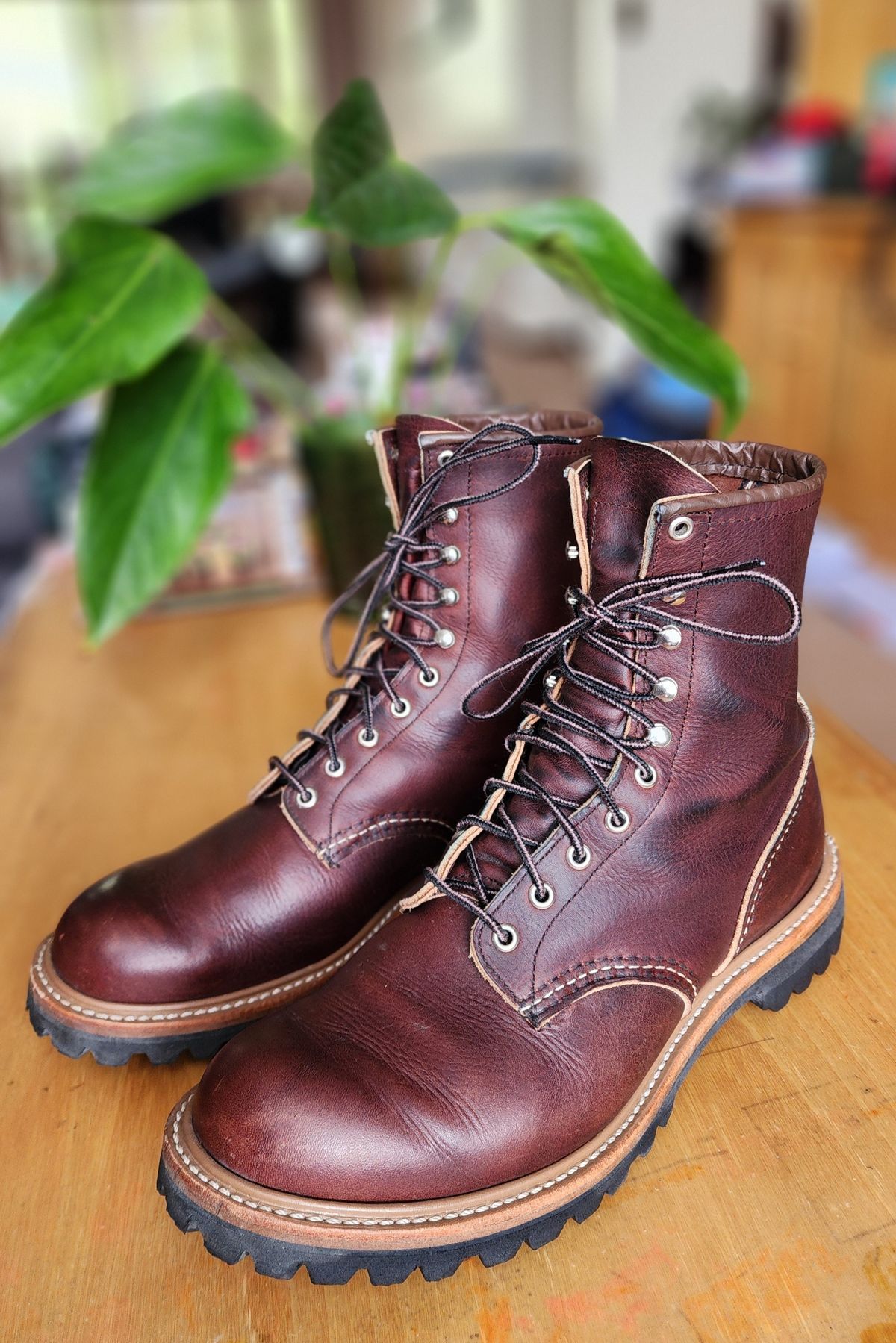 Photo by Littlewood555 on December 6, 2025 of the Red Wing 4585 120th Anniversary Logger Boot Briar Oil Slick in S.B. Foot Briar Oil Slick.