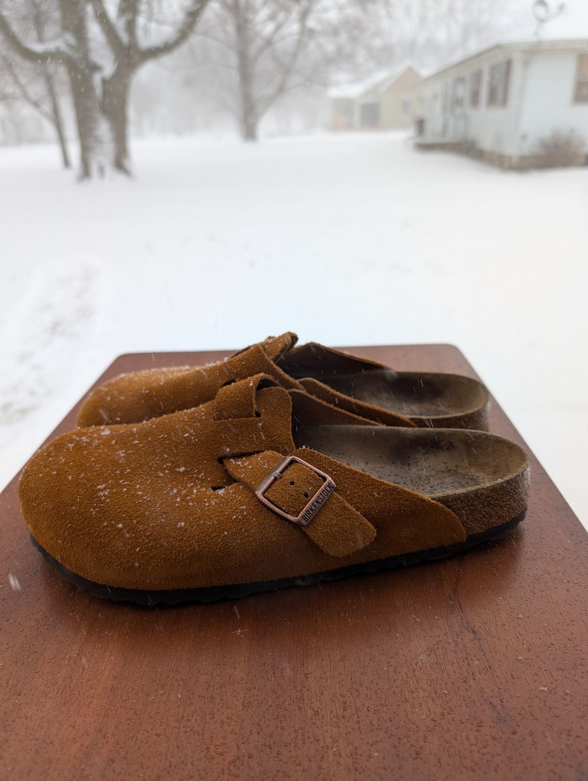 Photo by cross on January 5, 2025 of the Birkenstock Boston in Mink Suede.