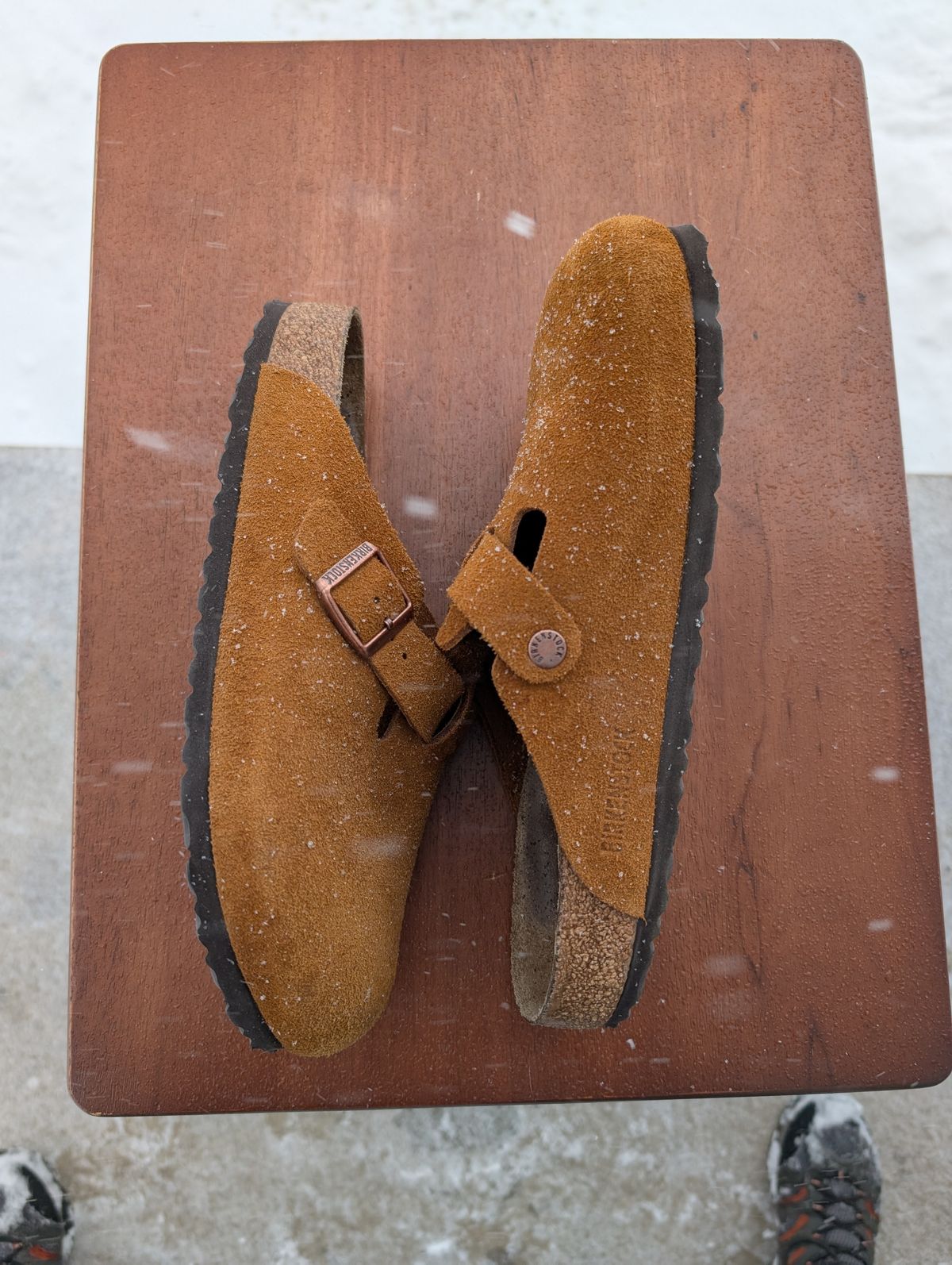 Photo by cross on January 5, 2025 of the Birkenstock Boston in Mink Suede.