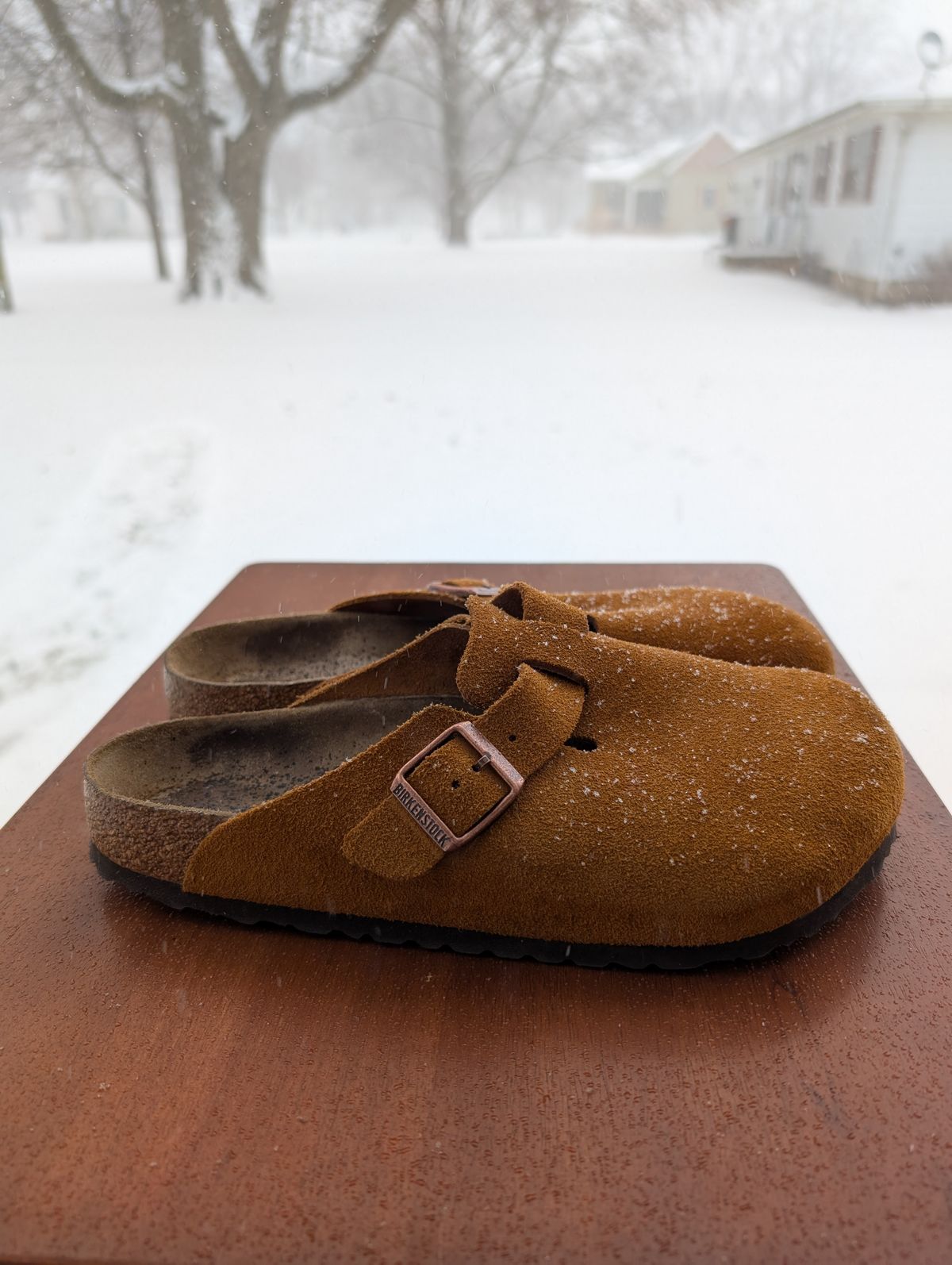 Photo by cross on January 5, 2025 of the Birkenstock Boston in Mink Suede.