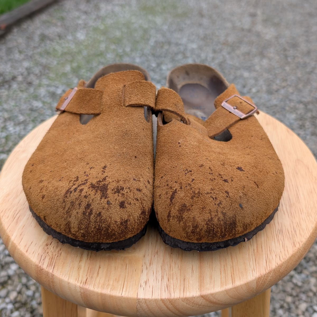 Photo by cross on April 5, 2025 of the Birkenstock Boston in Mink Suede.