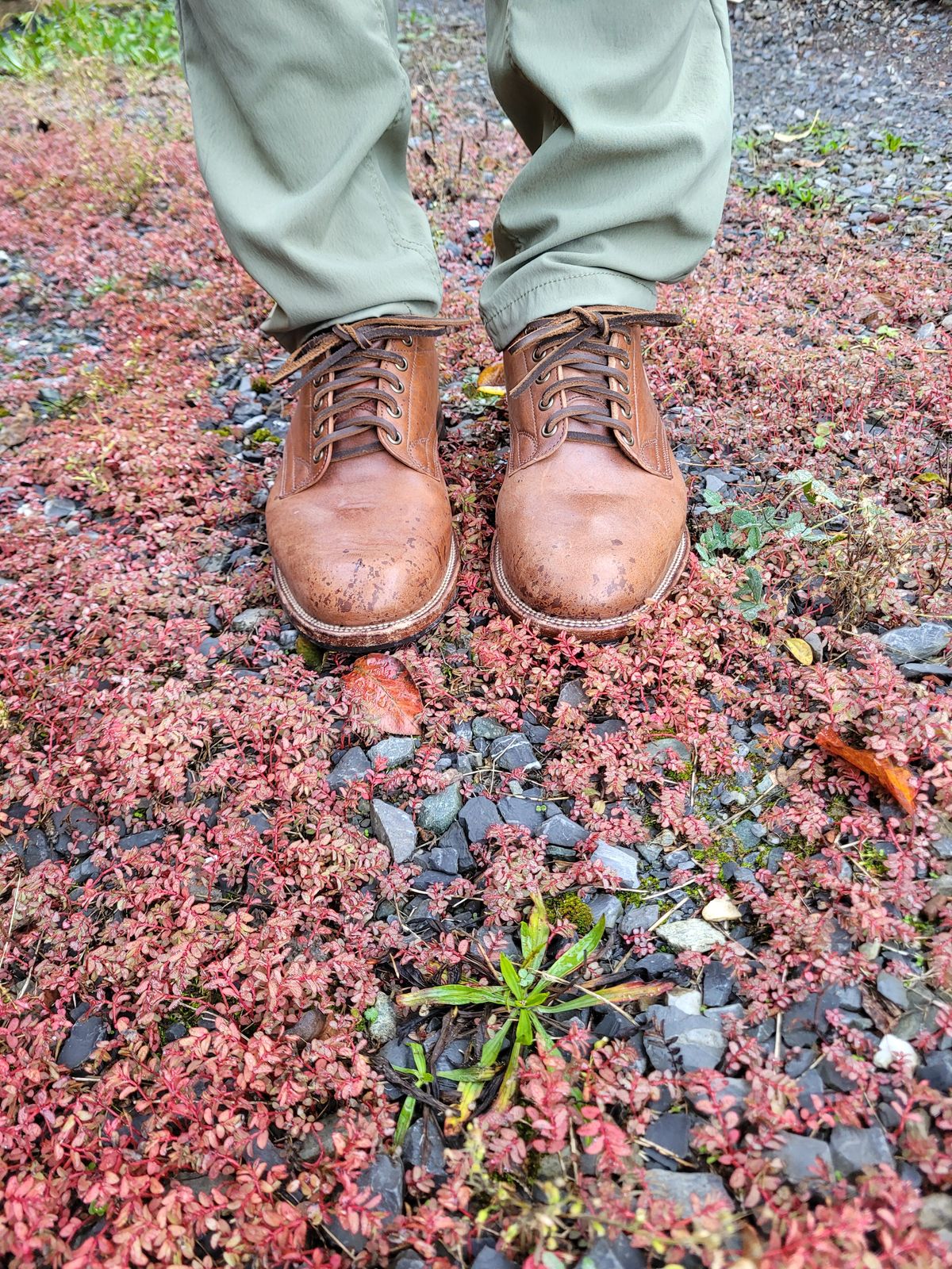 Photo by MyNameisJeff on November 1, 2022 of the Viberg 145 Oxford in Horween Natural Essex Workshoe Butt.