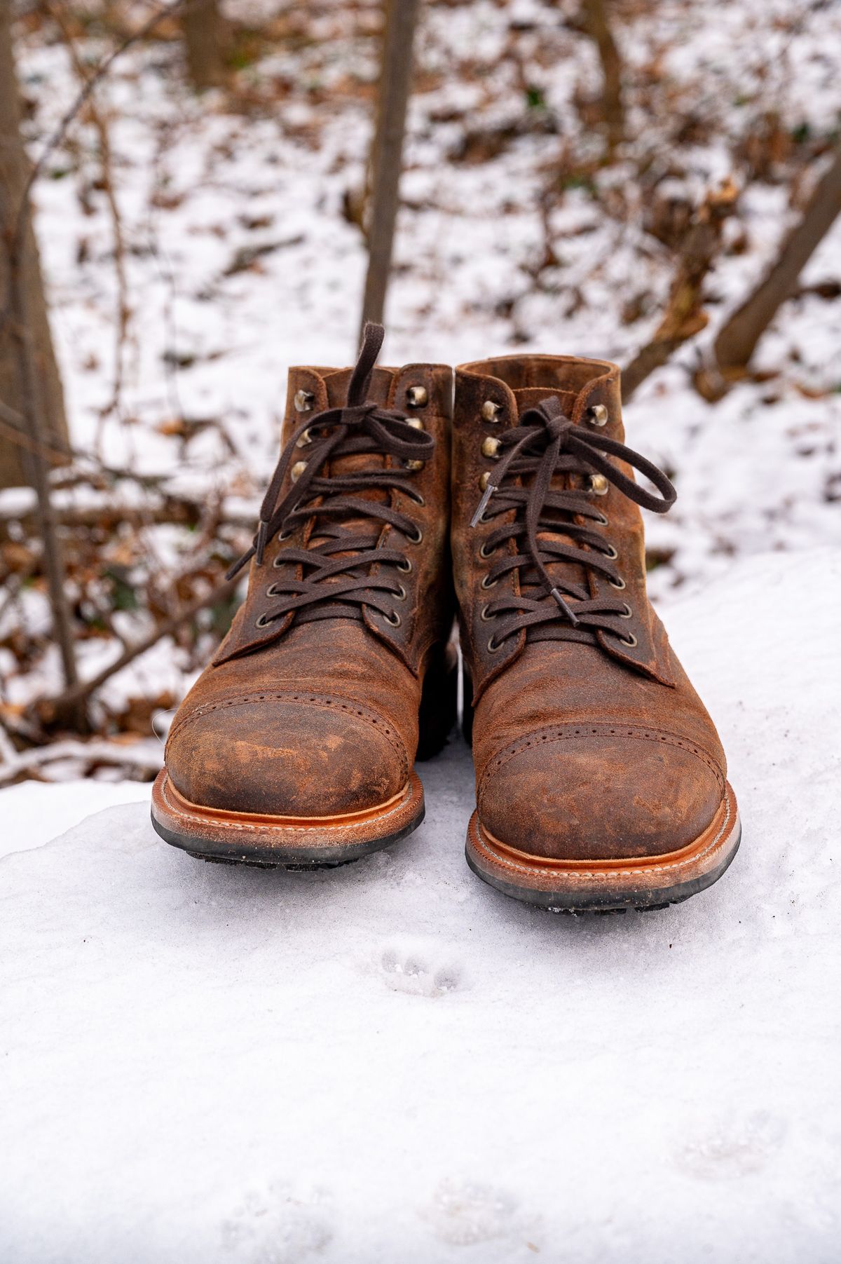 Photo by bootsthrumylens on January 5, 2025 of the Parkhurst The Delaware in Parkhurst / C.F. Stead Prairie Waxy Commander.