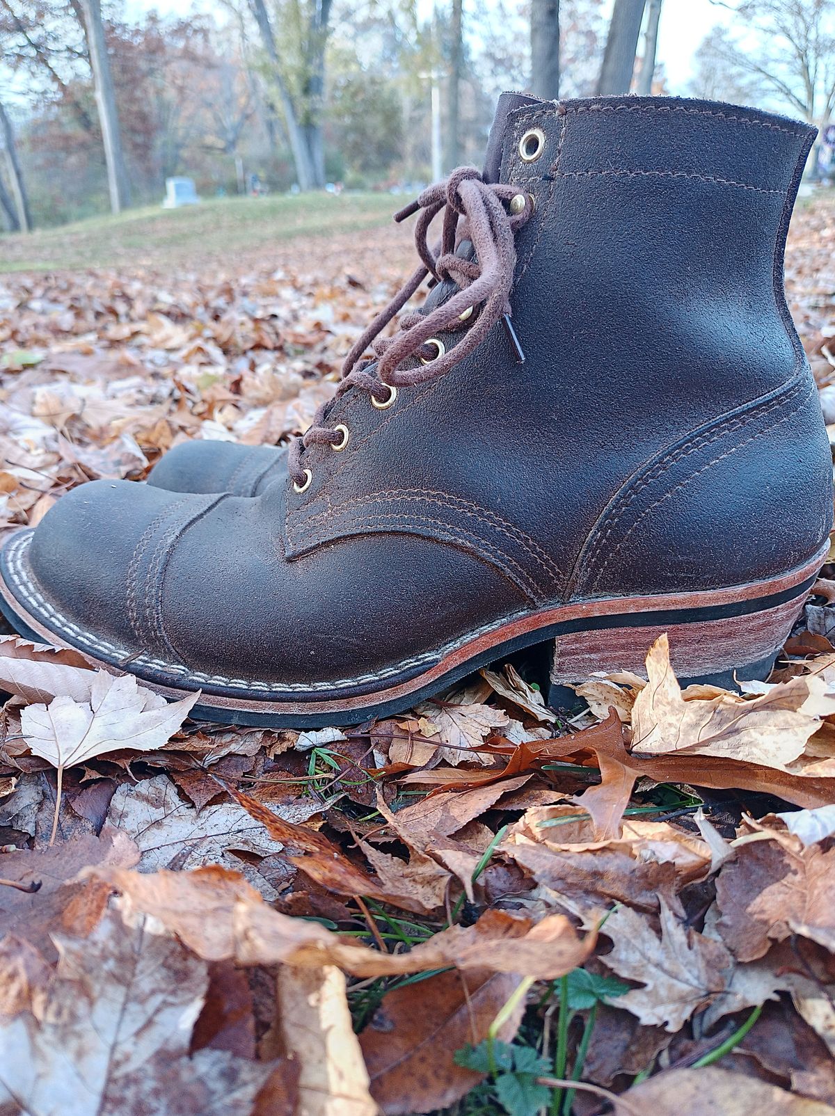 Photo by siklopz on November 6, 2023 of the Nicks Charley in Seidel 1964 Brown Roughout.