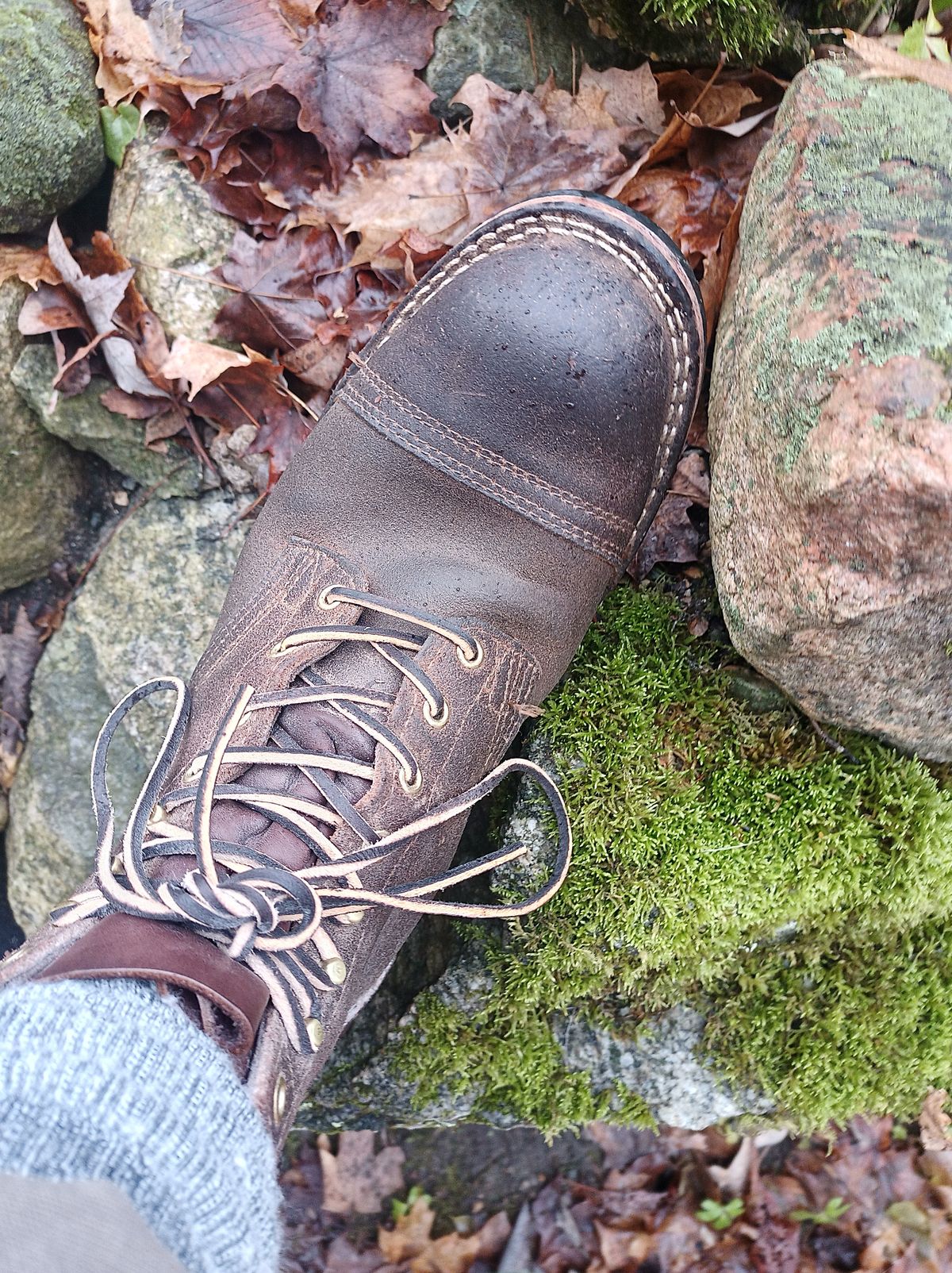 Photo by siklopz on December 5, 2023 of the Nicks Charley in Seidel 1964 Brown Roughout.