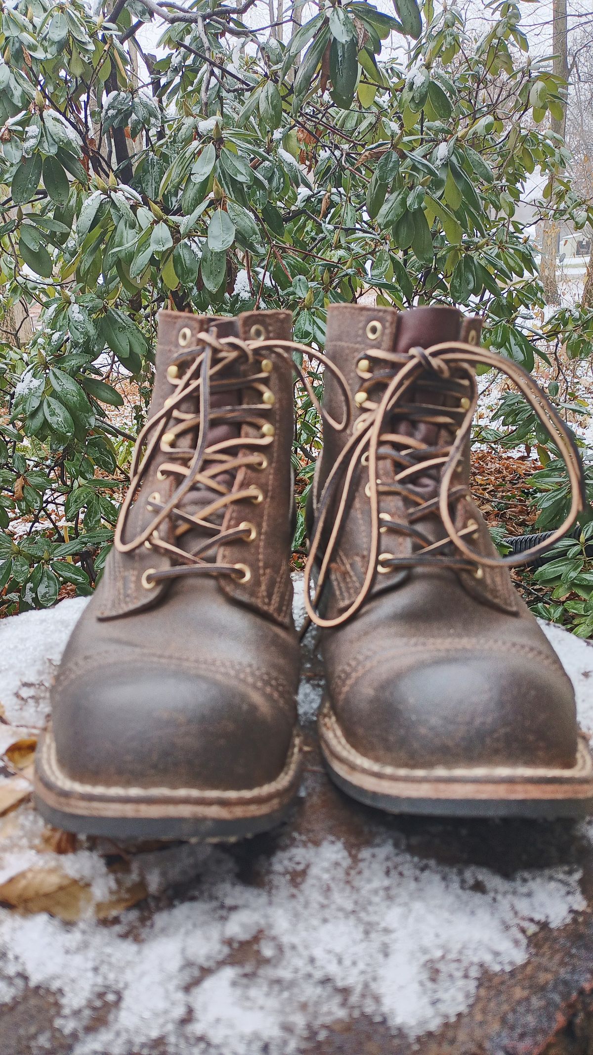 Photo by siklopz on December 5, 2023 of the Nicks Charley in Seidel 1964 Brown Roughout.