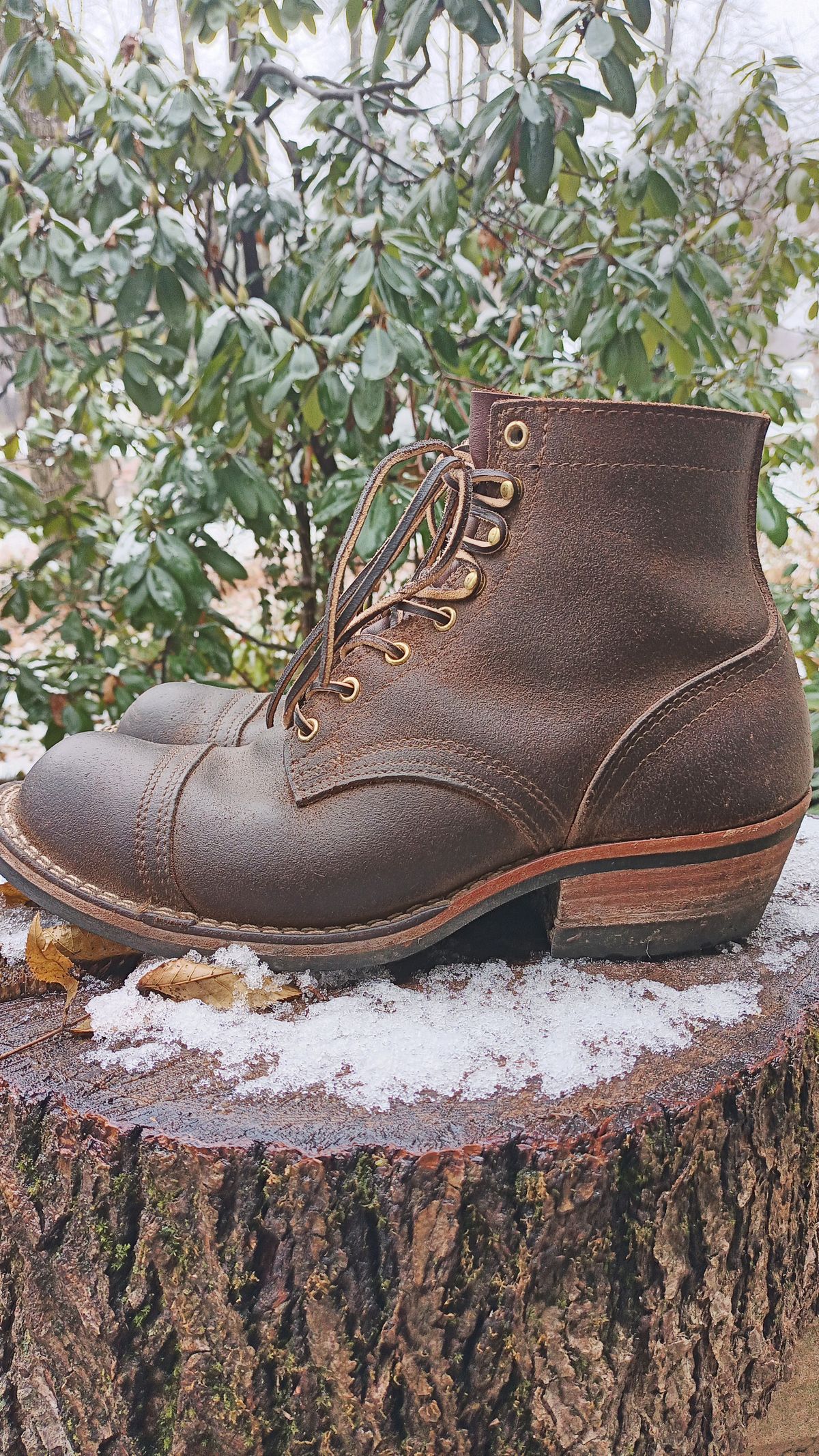 Photo by siklopz on December 5, 2023 of the Nicks Charley in Seidel 1964 Brown Roughout.