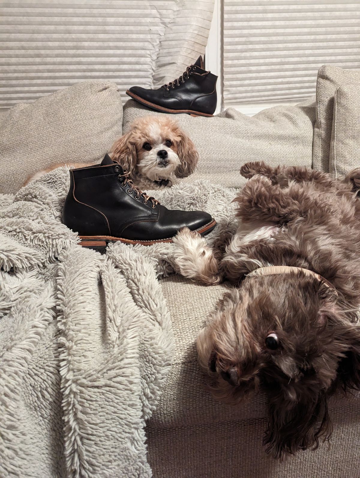 Photo by drtobiassfunke on November 9, 2023 of the Viberg Service Boot in Horween Black Chromexcel.
