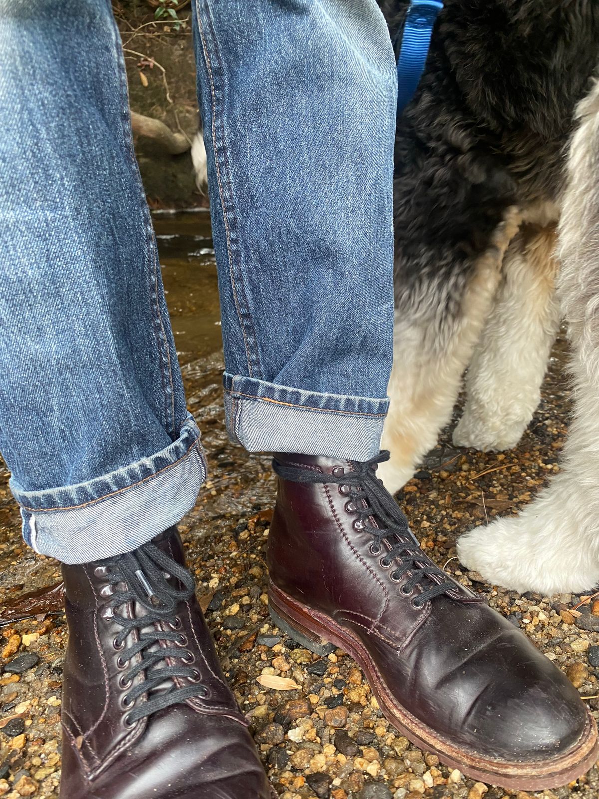 Photo by astronaut888 on November 22, 2022 of the Alden Plain Toe Boot in Horween Color 8 Shell Cordovan.