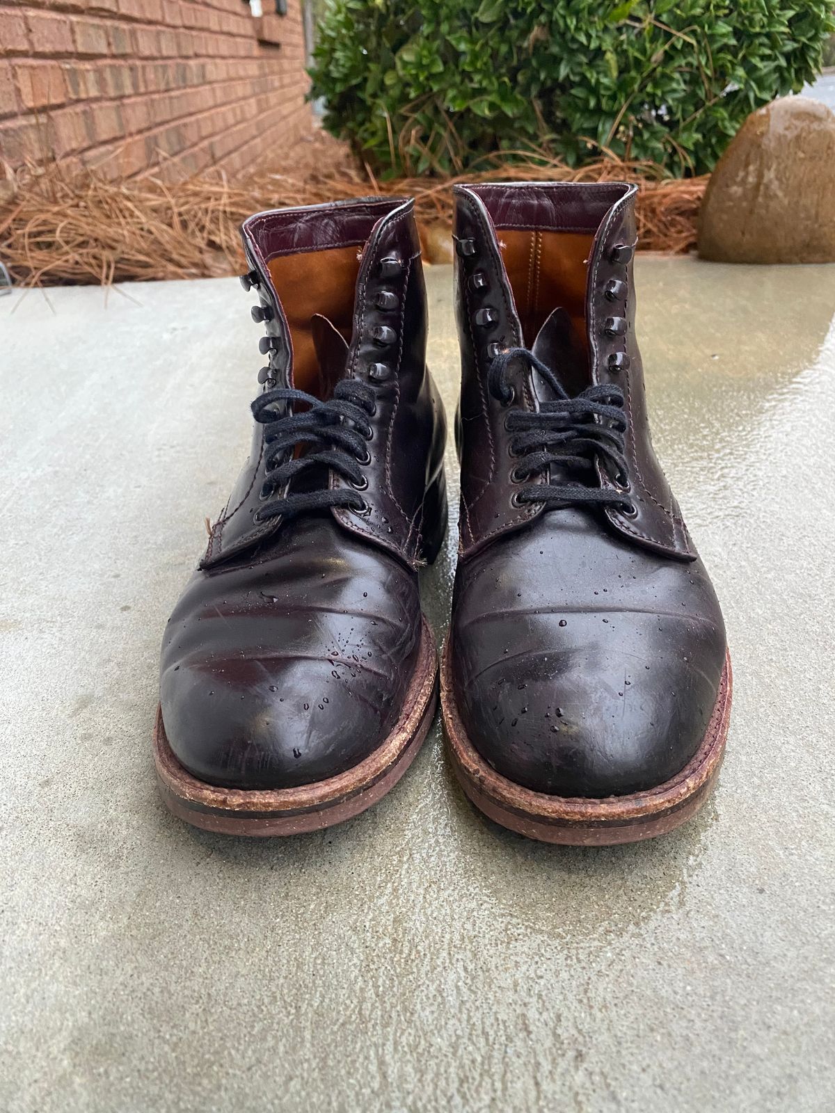 Photo by astronaut888 on December 5, 2022 of the Alden Plain Toe Boot in Horween Color 8 Shell Cordovan.