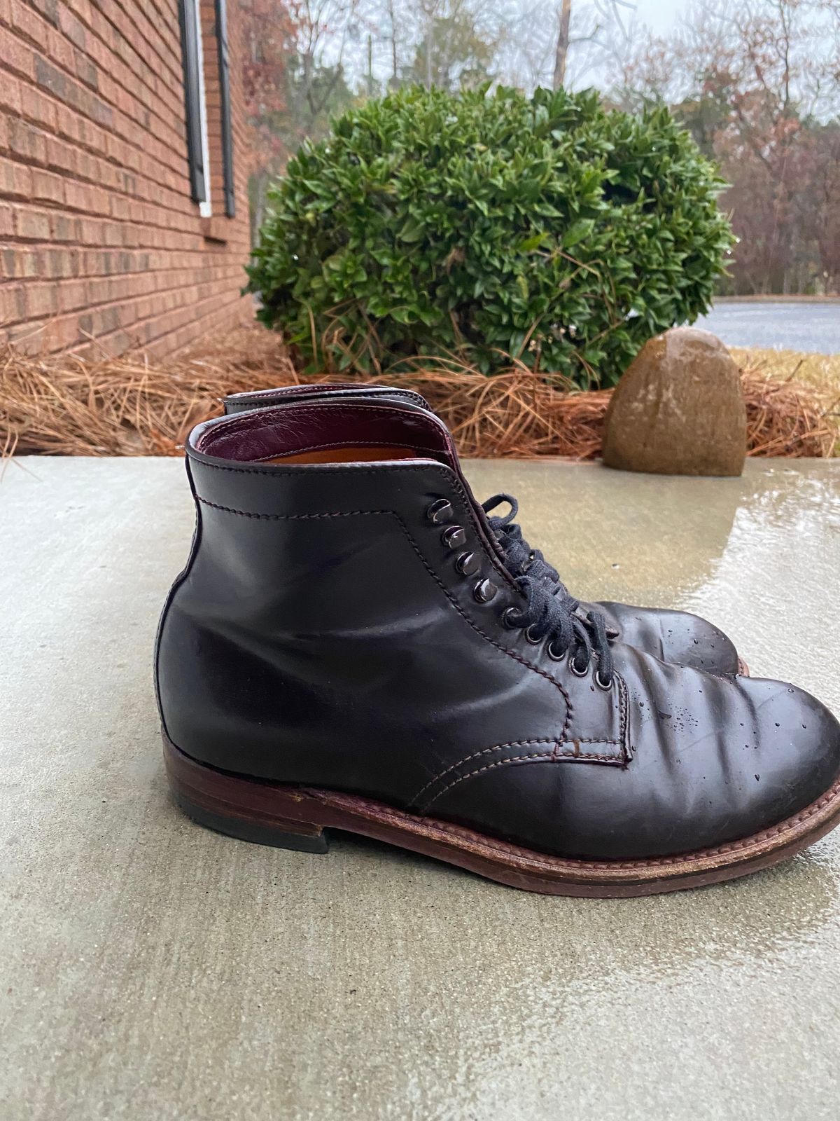 Photo by astronaut888 on December 5, 2022 of the Alden Plain Toe Boot in Horween Color 8 Shell Cordovan.