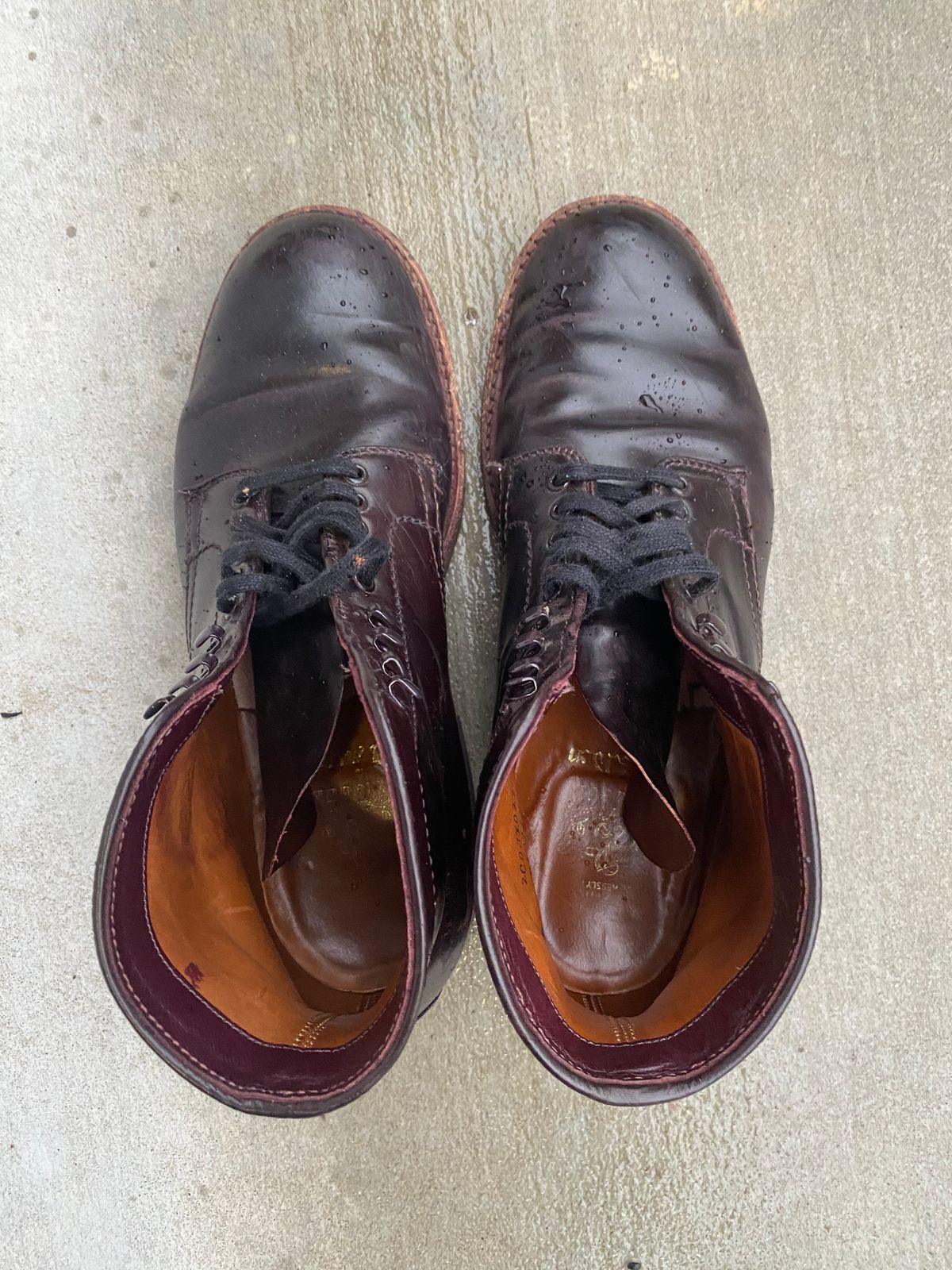 Photo by astronaut888 on December 5, 2022 of the Alden Plain Toe Boot in Horween Color 8 Shell Cordovan.