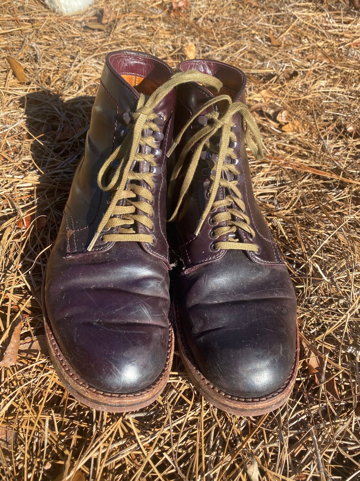 Photo by astronaut888 on January 5, 2023 of the Alden Plain Toe Boot in Horween Color 8 Shell Cordovan.