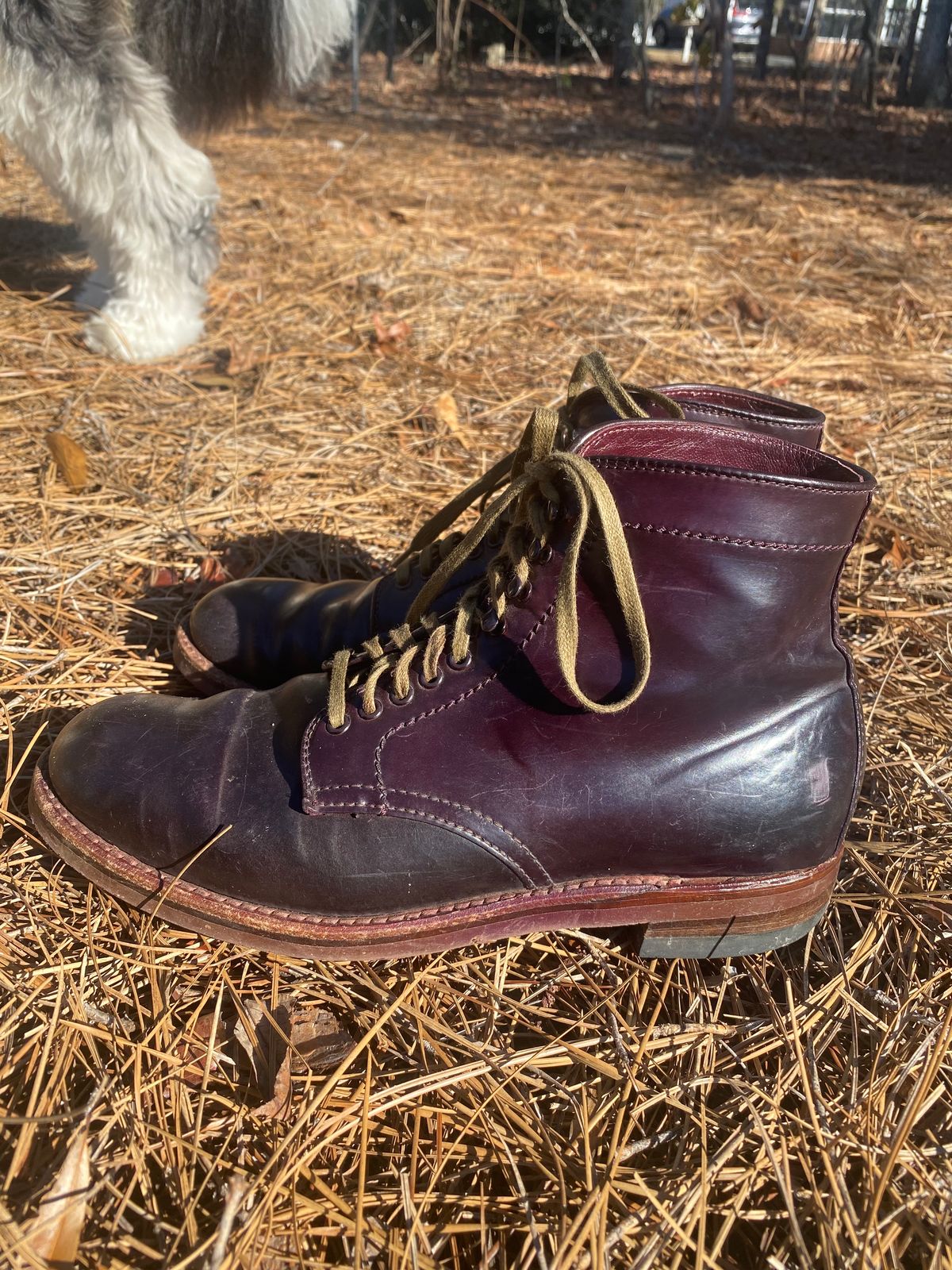 Photo by astronaut888 on January 5, 2023 of the Alden Plain Toe Boot in Horween Color 8 Shell Cordovan.