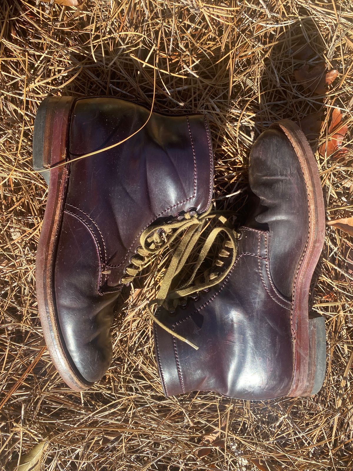 Photo by astronaut888 on January 5, 2023 of the Alden Plain Toe Boot in Horween Color 8 Shell Cordovan.