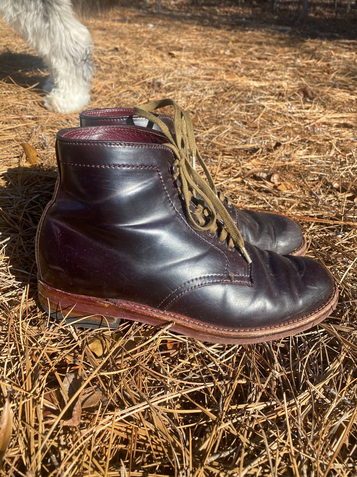 Photo by astronaut888 on January 5, 2023 of the Alden Plain Toe Boot in Horween Color 8 Shell Cordovan.