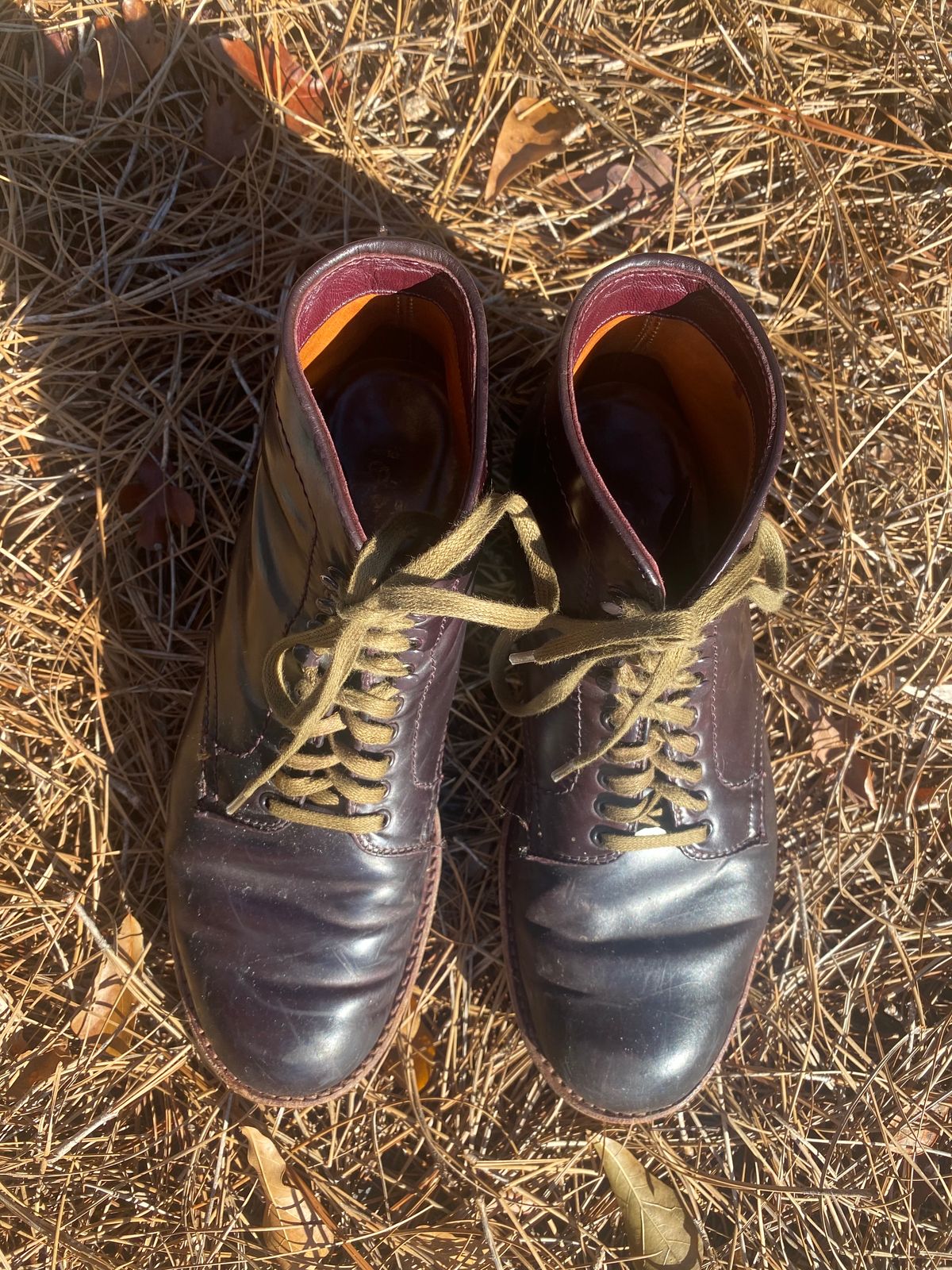 Photo by astronaut888 on January 5, 2023 of the Alden Plain Toe Boot in Horween Color 8 Shell Cordovan.