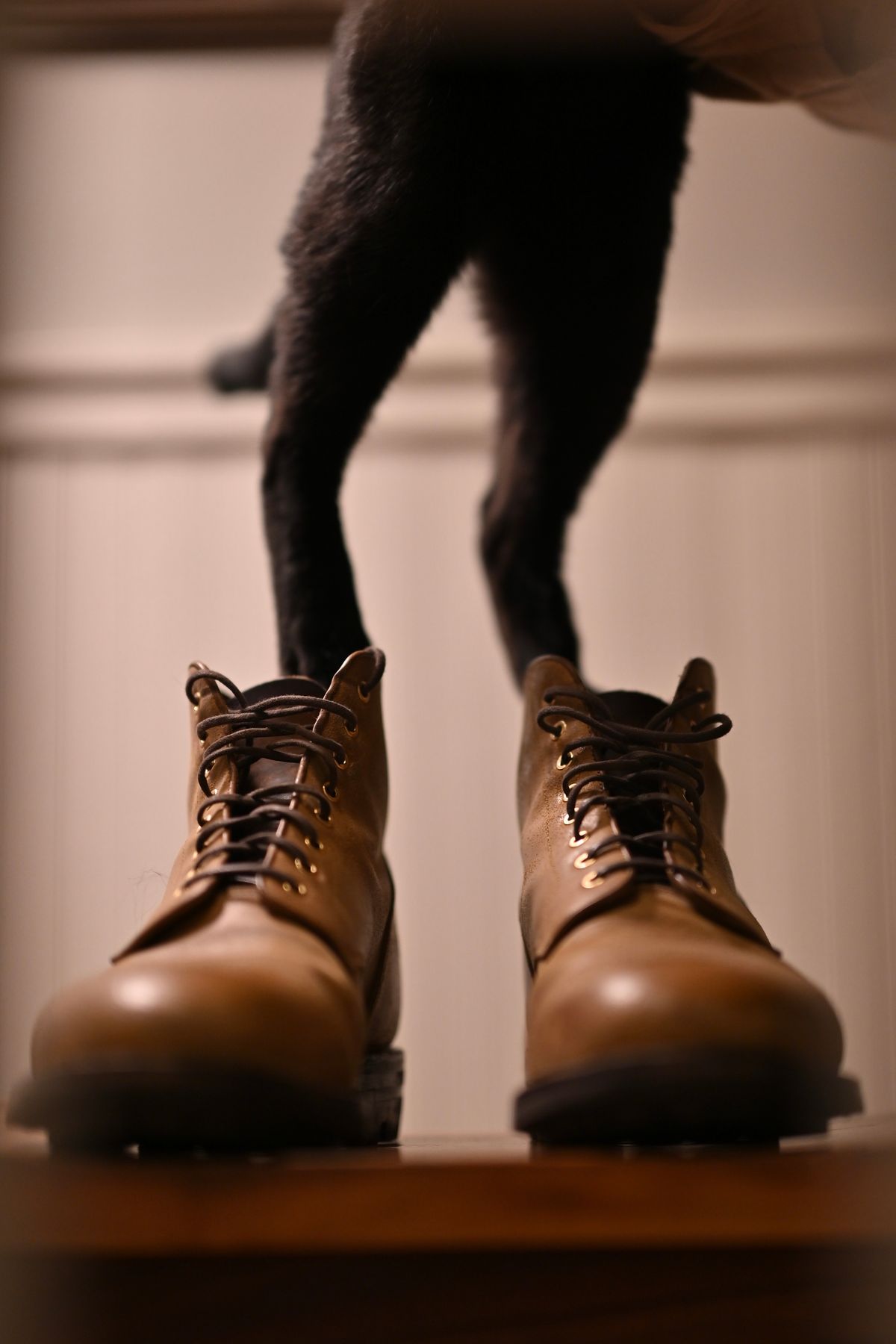 Photo by ccasenhiser on November 6, 2024 of the Grant Stone Garrison Boot in C.F. Stead Natural Waxy Commander Suede.