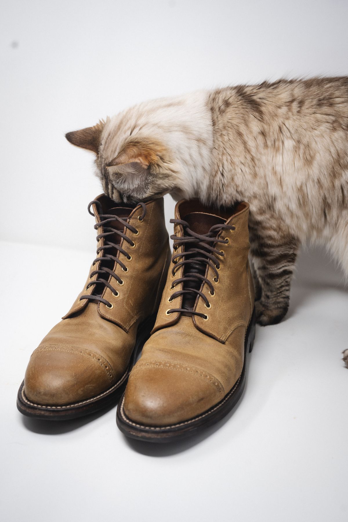 Photo by ccasenhiser on December 6, 2024 of the Grant Stone Garrison Boot in C.F. Stead Natural Waxy Commander Suede.