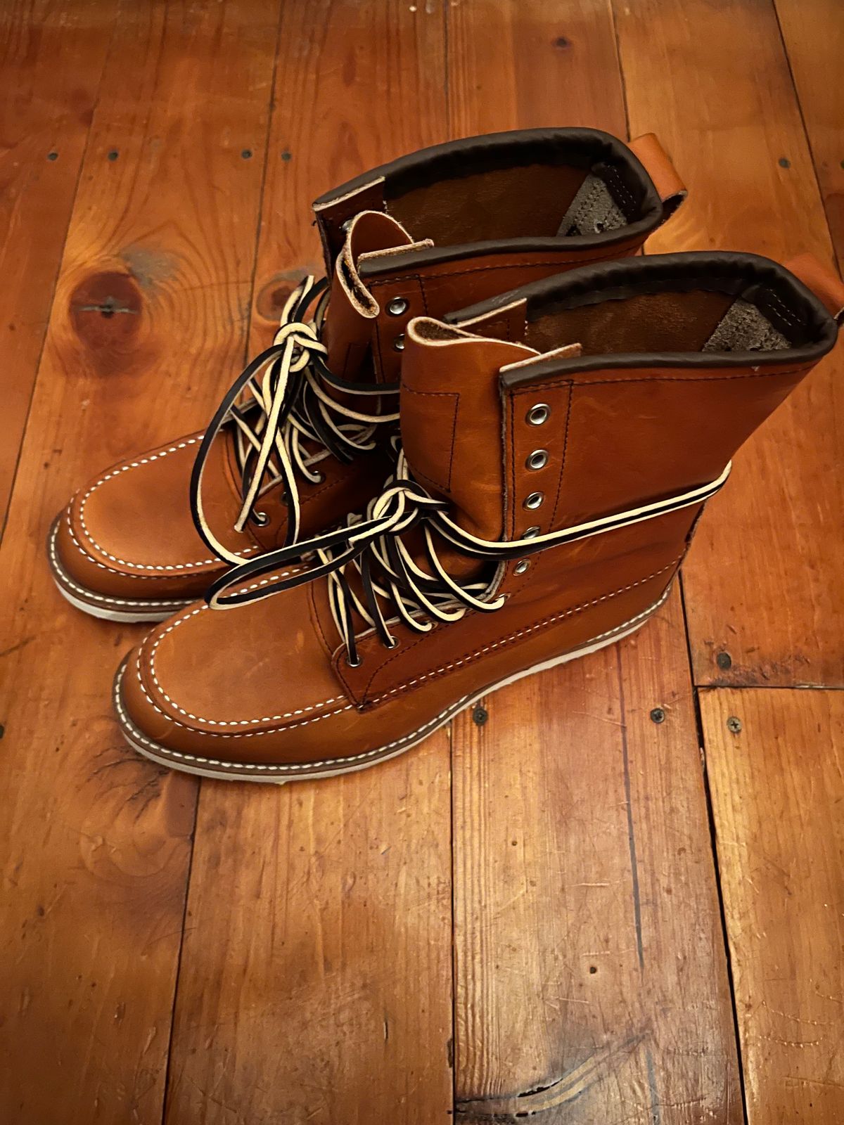 Photo by hawk33 on November 2, 2023 of the Red Wing 8-Inch Classic Moc in S.B. Foot Oro-Iginal.