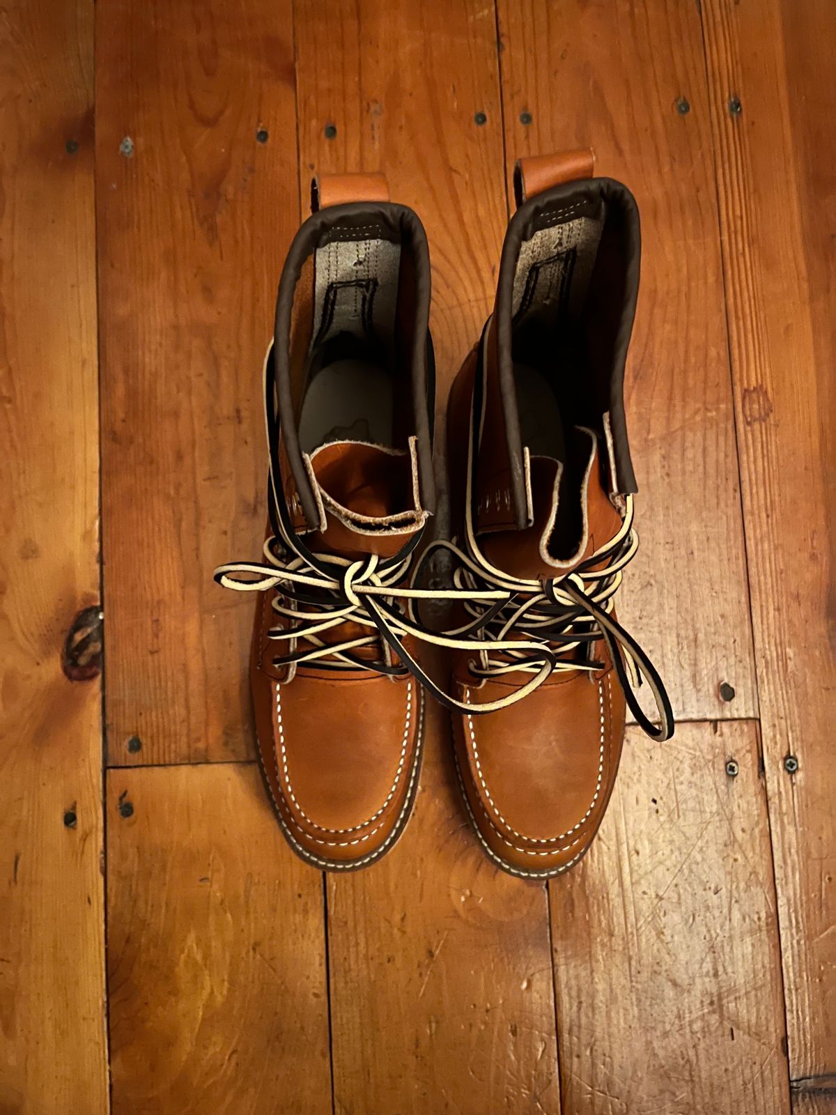 Photo by hawk33 on November 2, 2023 of the Red Wing 8-Inch Classic Moc in S.B. Foot Oro-Iginal.