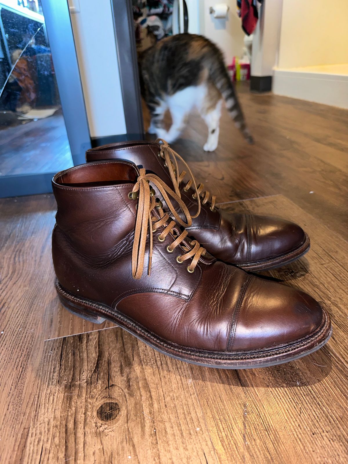 Photo by _cryptid_jack on March 1, 2024 of the Grant Stone Cap Toe Boot in Horween Crimson Chromexcel.