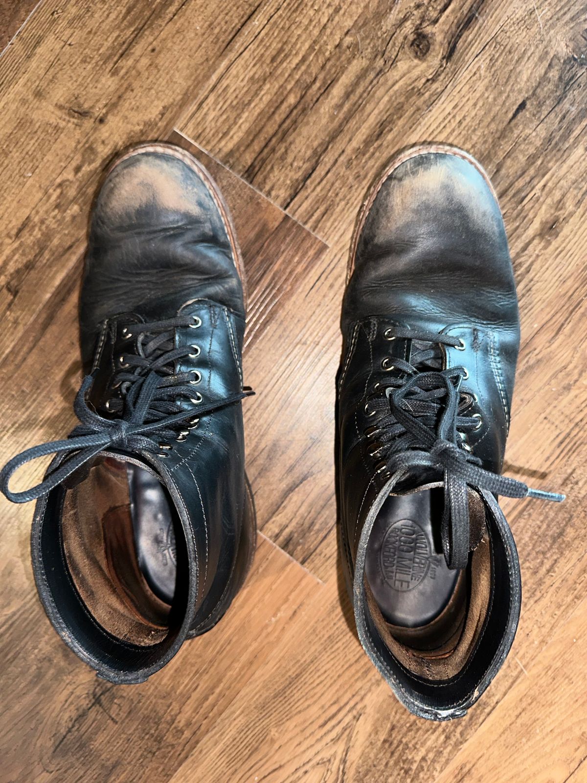 Photo by _cryptid_jack on March 31, 2025 of the Wolverine 1000 Mile Plain-Toe Boot in Horween Black Chromexcel.