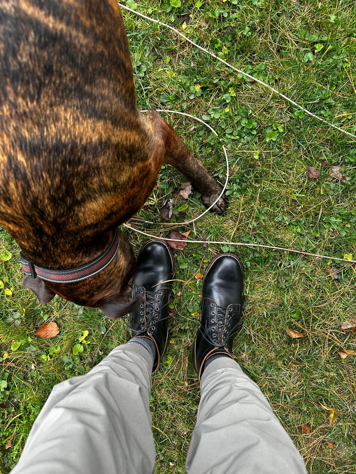 Photo by cjhill1 on October 24, 2024 of the Viberg Service Boot in Horween Black Chromexcel.