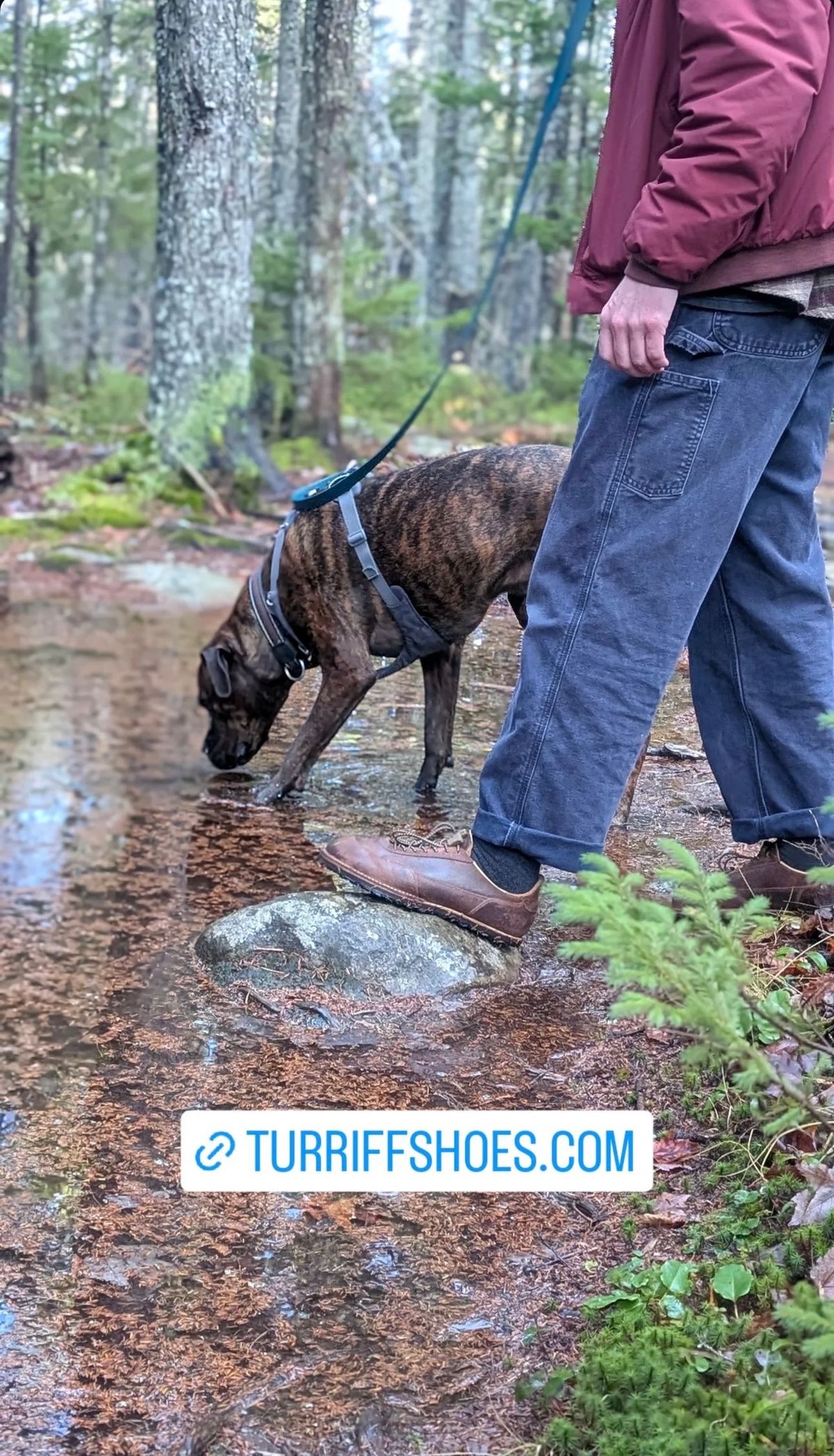 Photo by cjhill1 on November 30, 2024 of the Turriff Functional Footwear C-01 Anatomical Outdoor Trail Shoe in C.F. Stead Prairie Waxy Commander Suede.