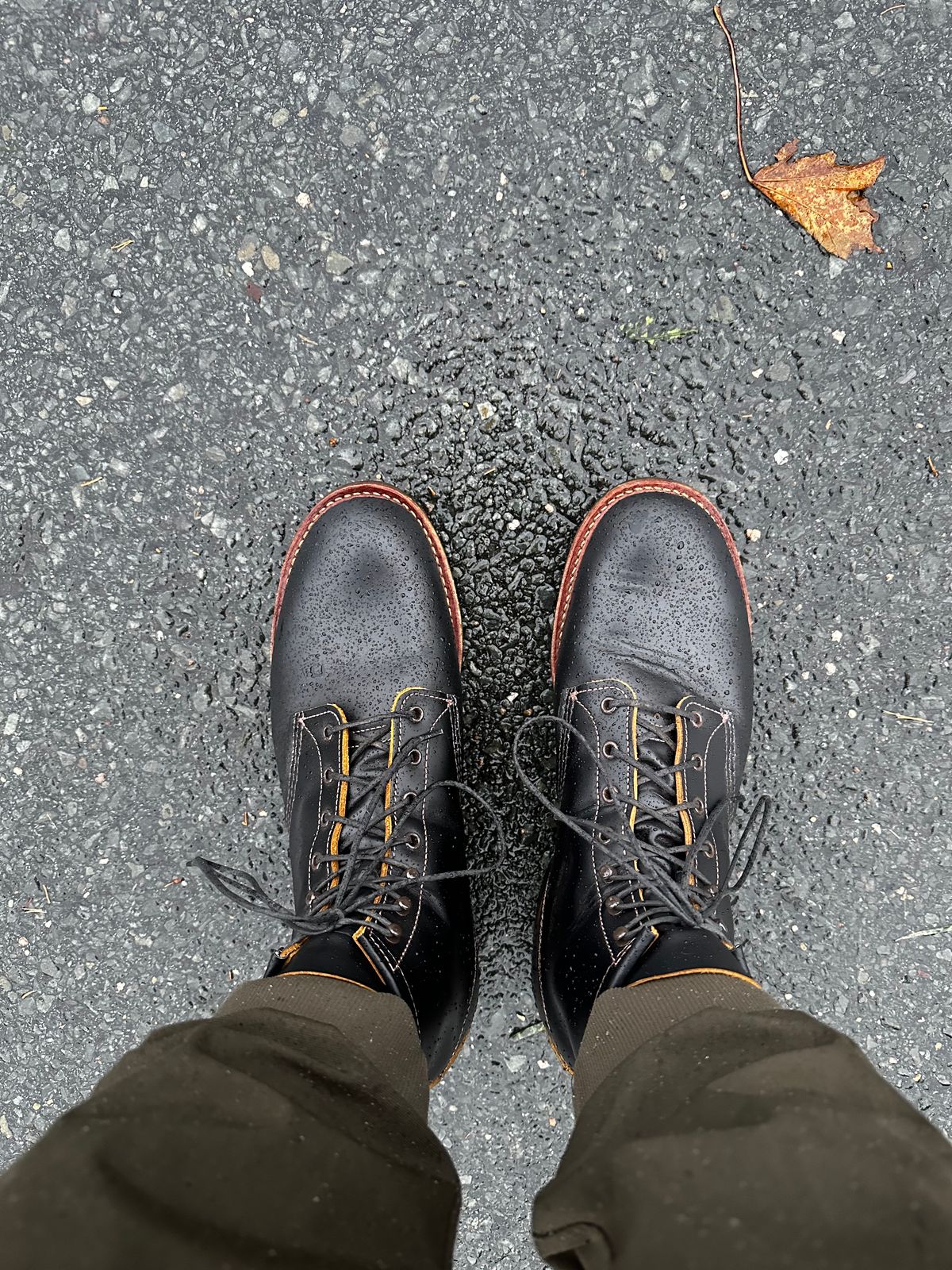 Photo by cjhill1 on November 5, 2024 of the Red Wing Beckman Flatbox in S.B. Foot Black Klondike.