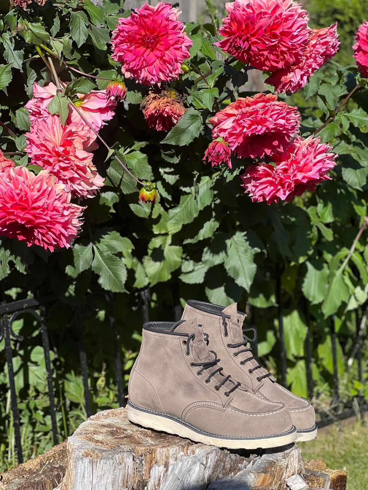 Photo by OnlyTans2023 on October 7, 2023 of the Red Wing 6-Inch Classic Moc in S.B. Foot Slate Muleskinner.