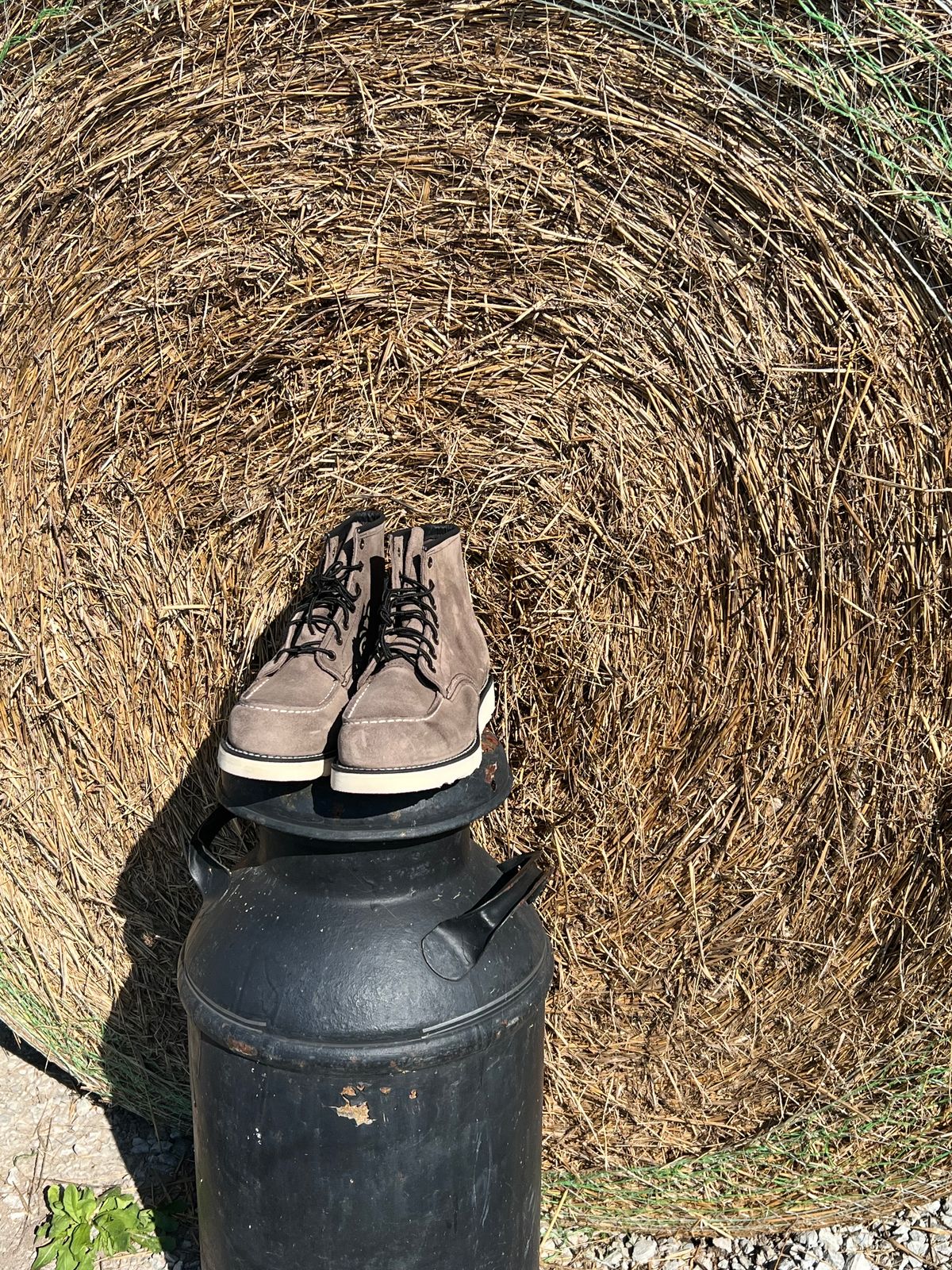 Photo by OnlyTans2023 on October 1, 2023 of the Red Wing 6-Inch Classic Moc in S.B. Foot Slate Muleskinner.