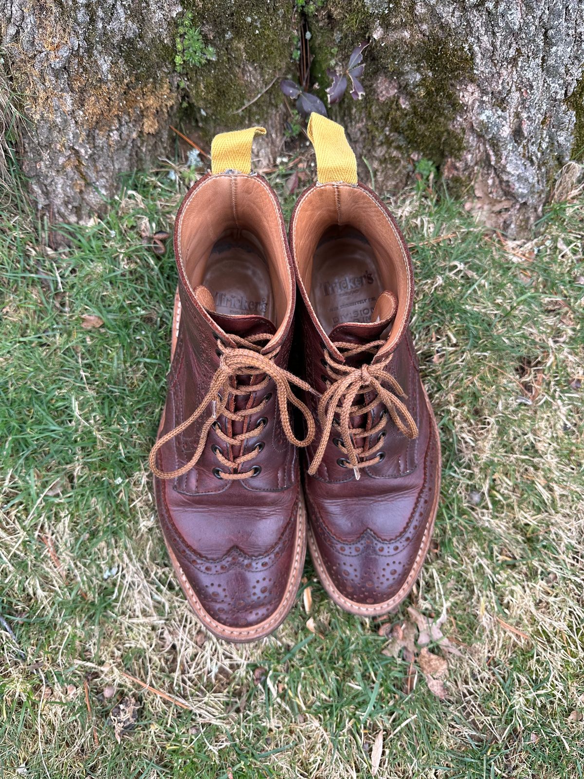 Photo by Ohmayer on February 1, 2024 of the Tricker's Stow Country Boot in C.F. Stead Bordeaux Oiled Shoulder.