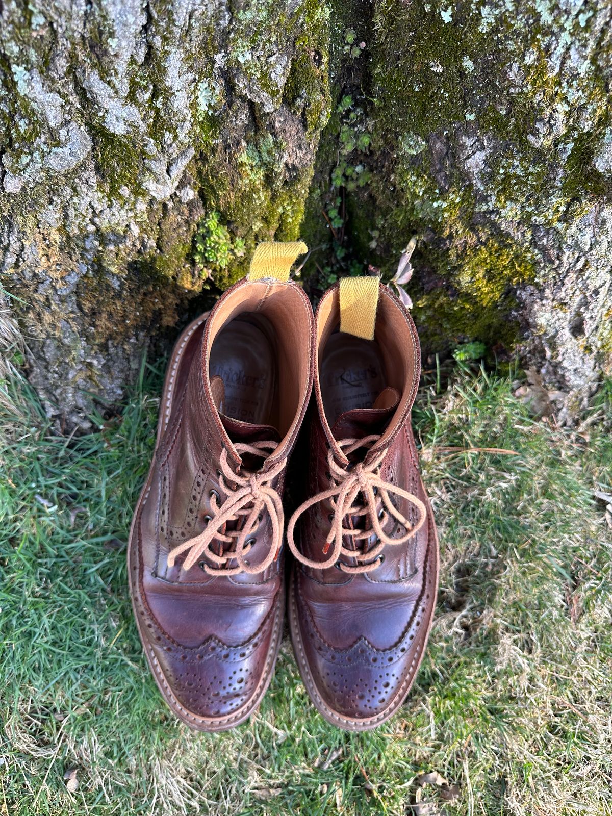 Photo by Ohmayer on March 3, 2024 of the Tricker's Stow Country Boot in C.F. Stead Bordeaux Oiled Shoulder.