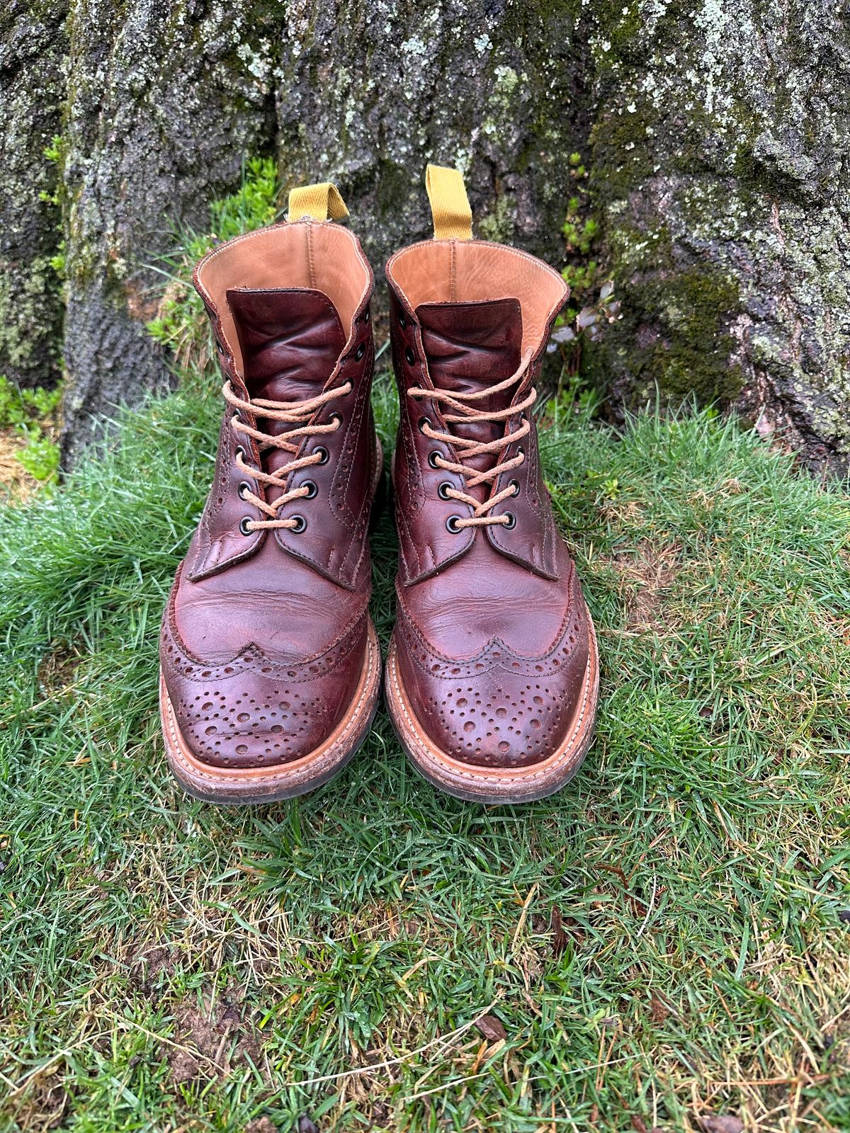 Photo by Ohmayer on April 2, 2024 of the Tricker's Stow Country Boot in C.F. Stead Bordeaux Oiled Shoulder.