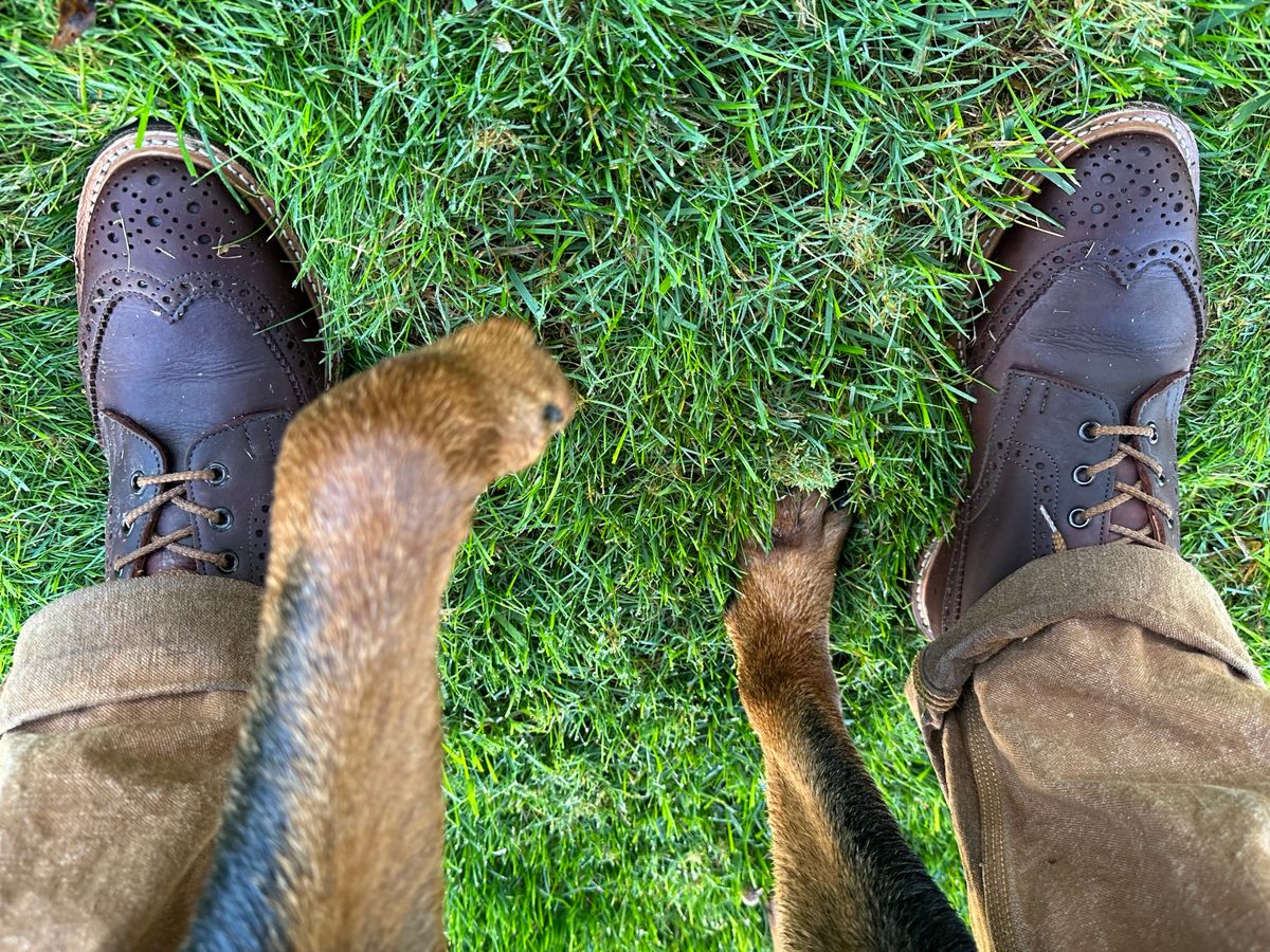 Photo by Ohmayer on October 1, 2023 of the Tricker's Stow Country Boot in C.F. Stead Bordeaux Oiled Shoulder.