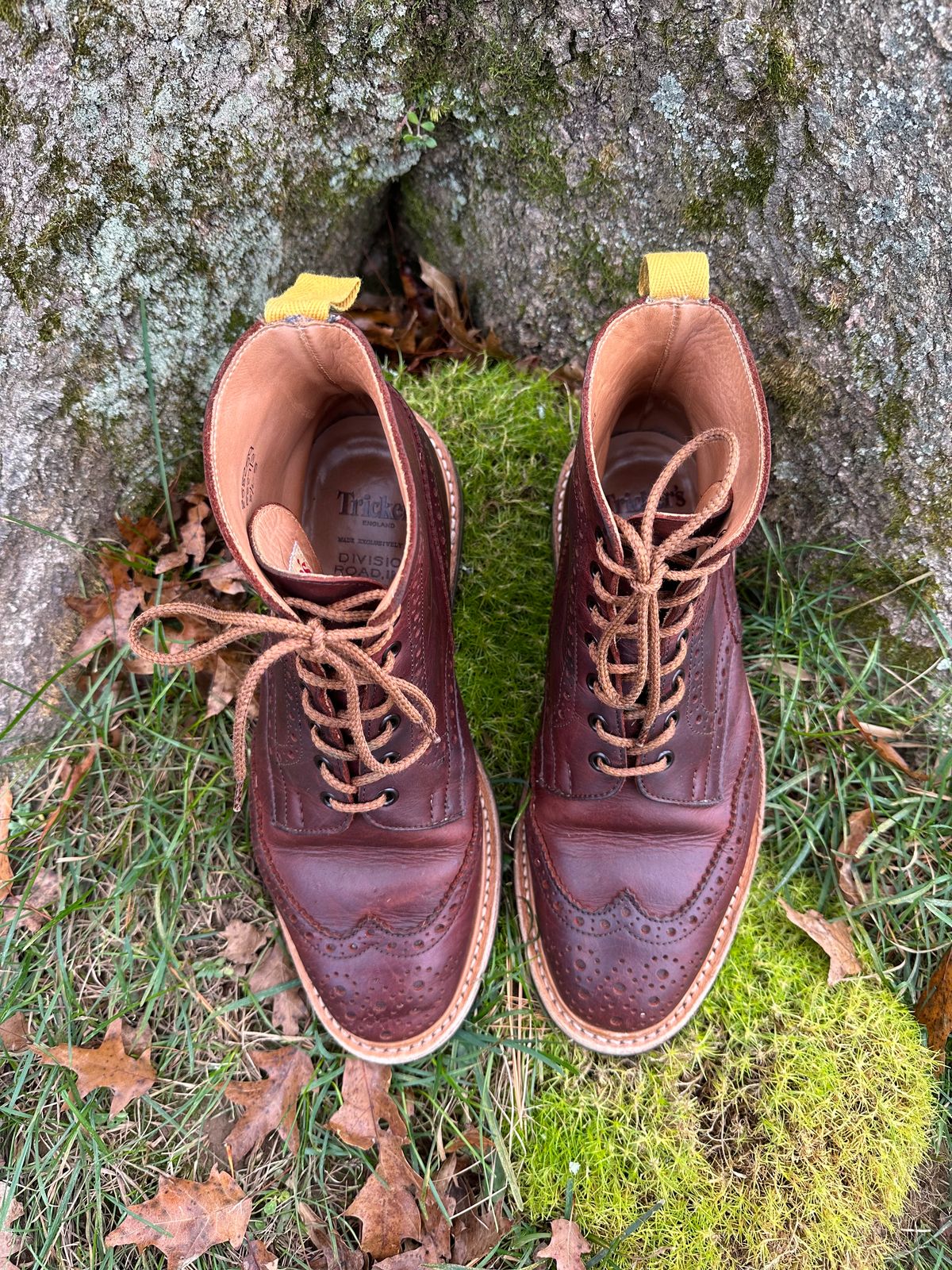 Photo by Ohmayer on November 1, 2023 of the Tricker's Stow Country Boot in C.F. Stead Bordeaux Oiled Shoulder.