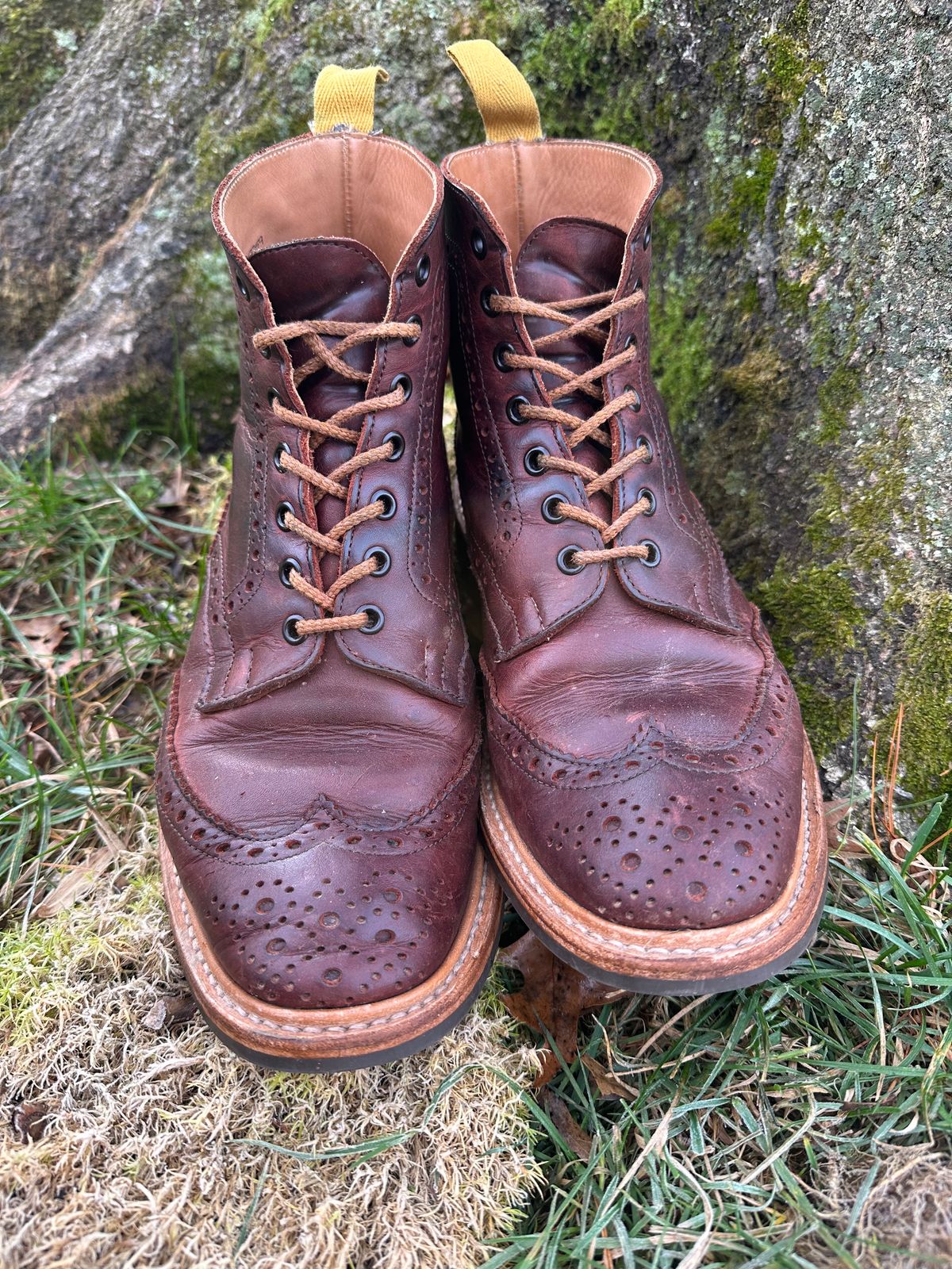 Photo by Ohmayer on December 5, 2023 of the Tricker's Stow Country Boot in C.F. Stead Bordeaux Oiled Shoulder.
