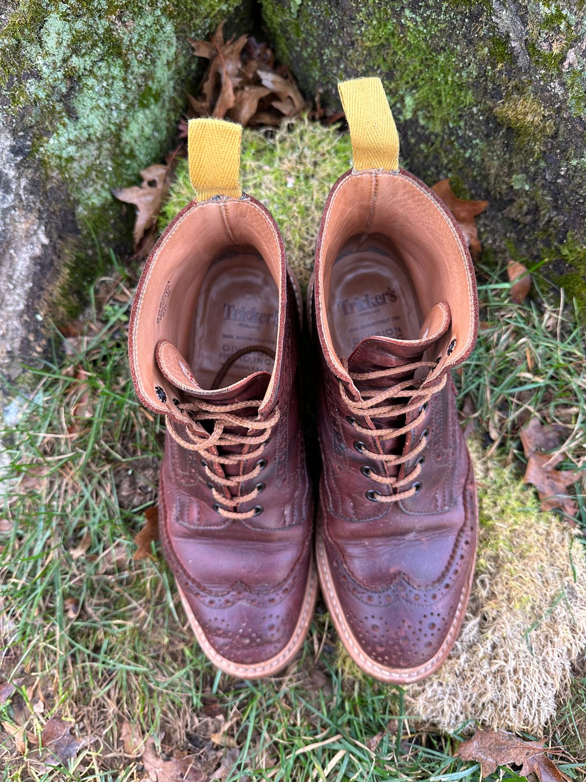 Photo by Ohmayer on December 5, 2023 of the Tricker's Stow Country Boot in C.F. Stead Bordeaux Oiled Shoulder.