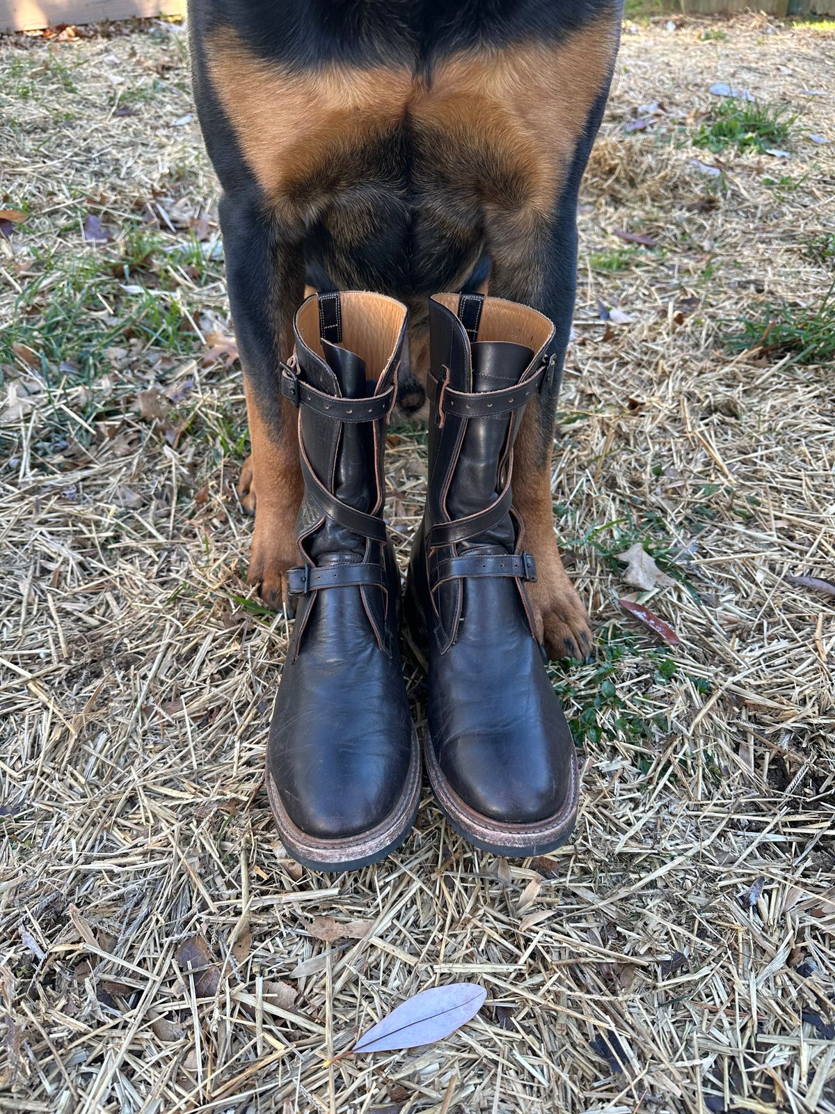 Photo by Ohmayer on December 3, 2025 of the Eastman Leather Tanker Boots in Black Horsehide.