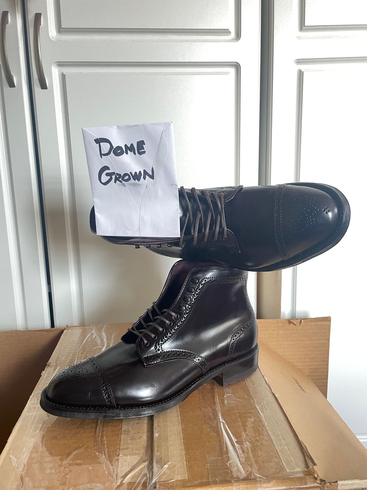 Photo by harshhappens on November 1, 2023 of the Alden Medallion Cap Toe Boot in Horween Color 8 Shell Cordovan.