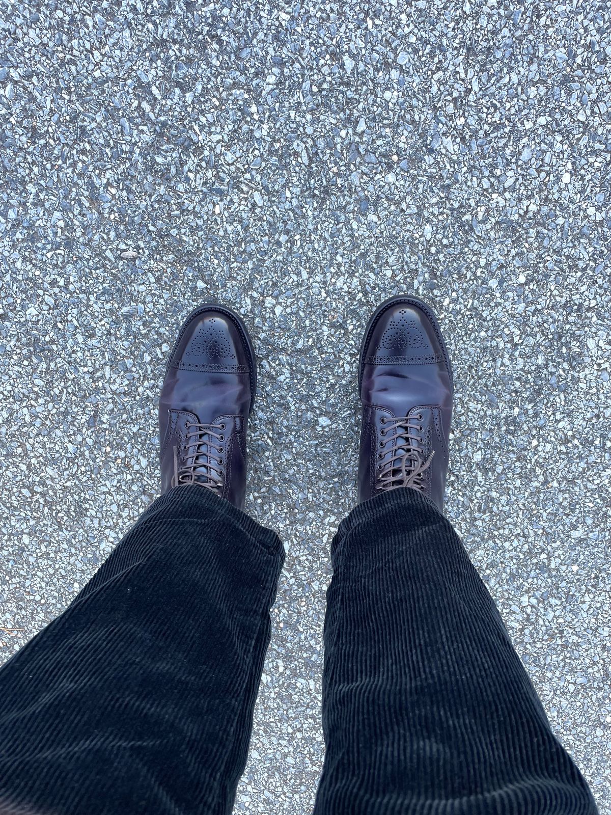 Photo by harshhappens on November 3, 2023 of the Alden Medallion Cap Toe Boot in Horween Color 8 Shell Cordovan.