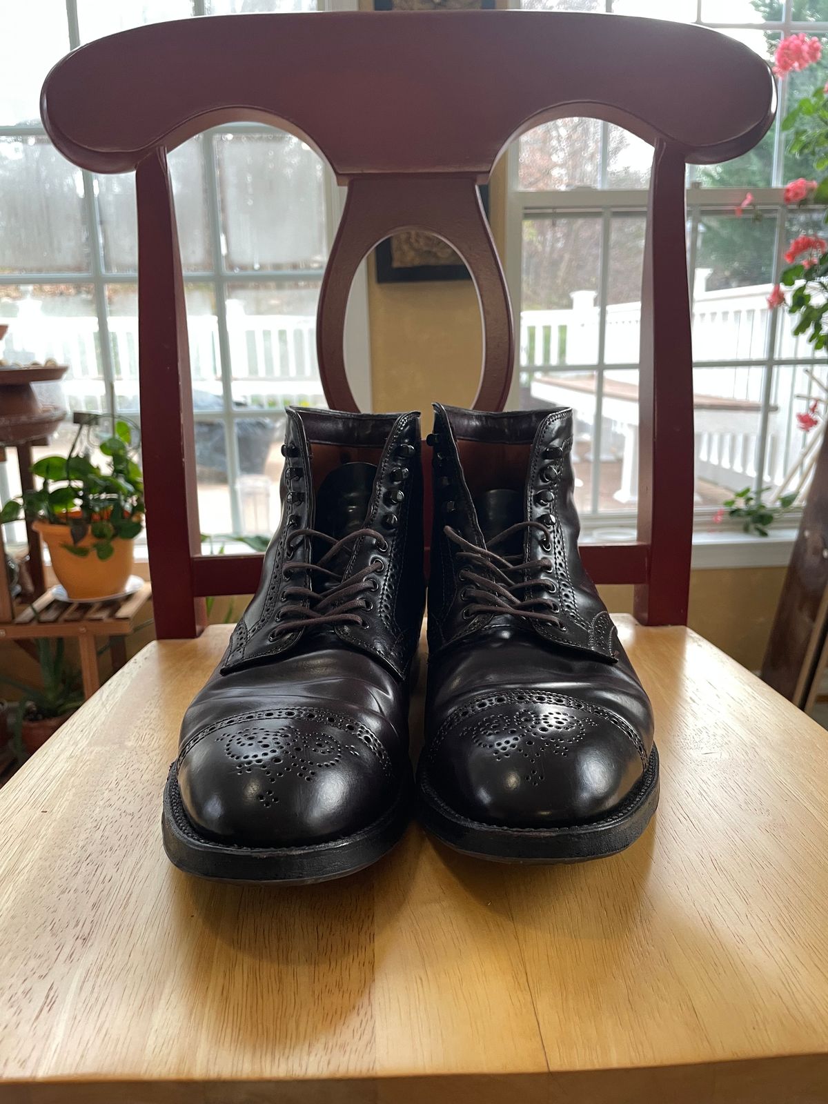 Photo by harshhappens on December 5, 2023 of the Alden Medallion Cap Toe Boot in Horween Color 8 Shell Cordovan.